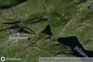 Skauttjorn