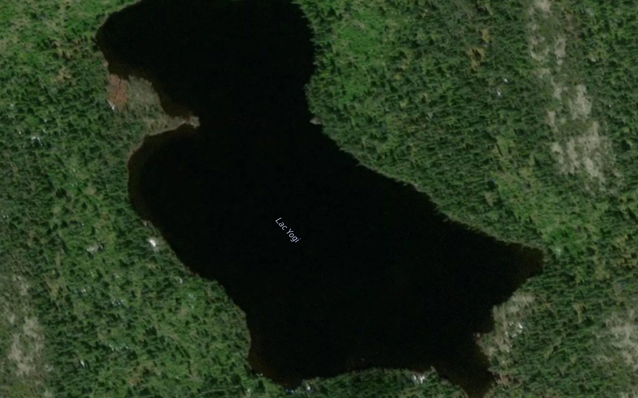 Lac Yogi