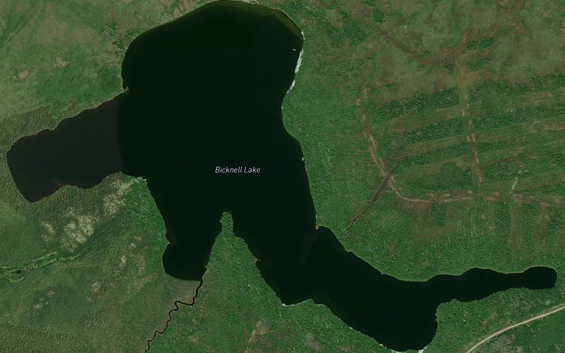 Satellite map of the Bicknell Lake