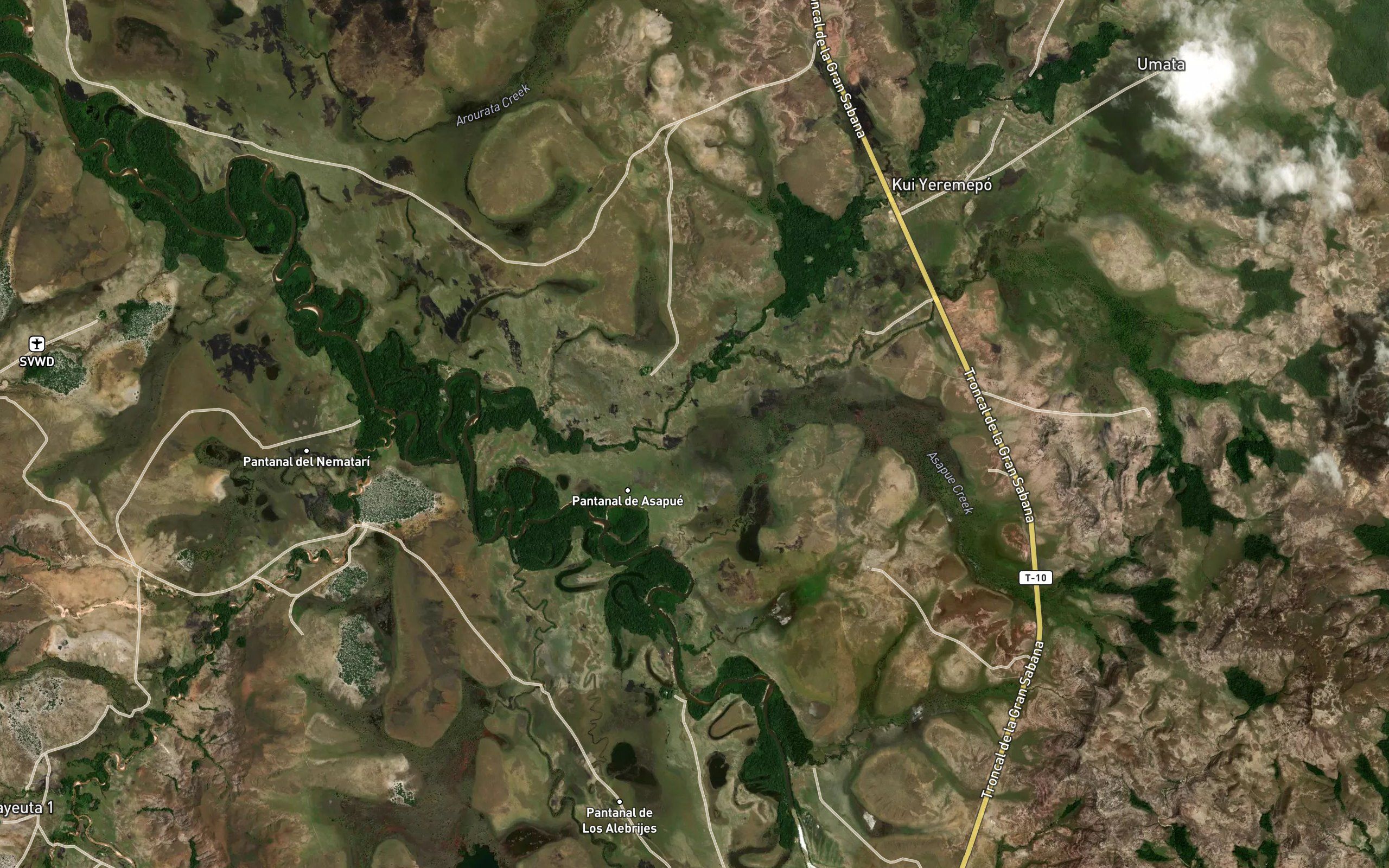 Morichal Asapue