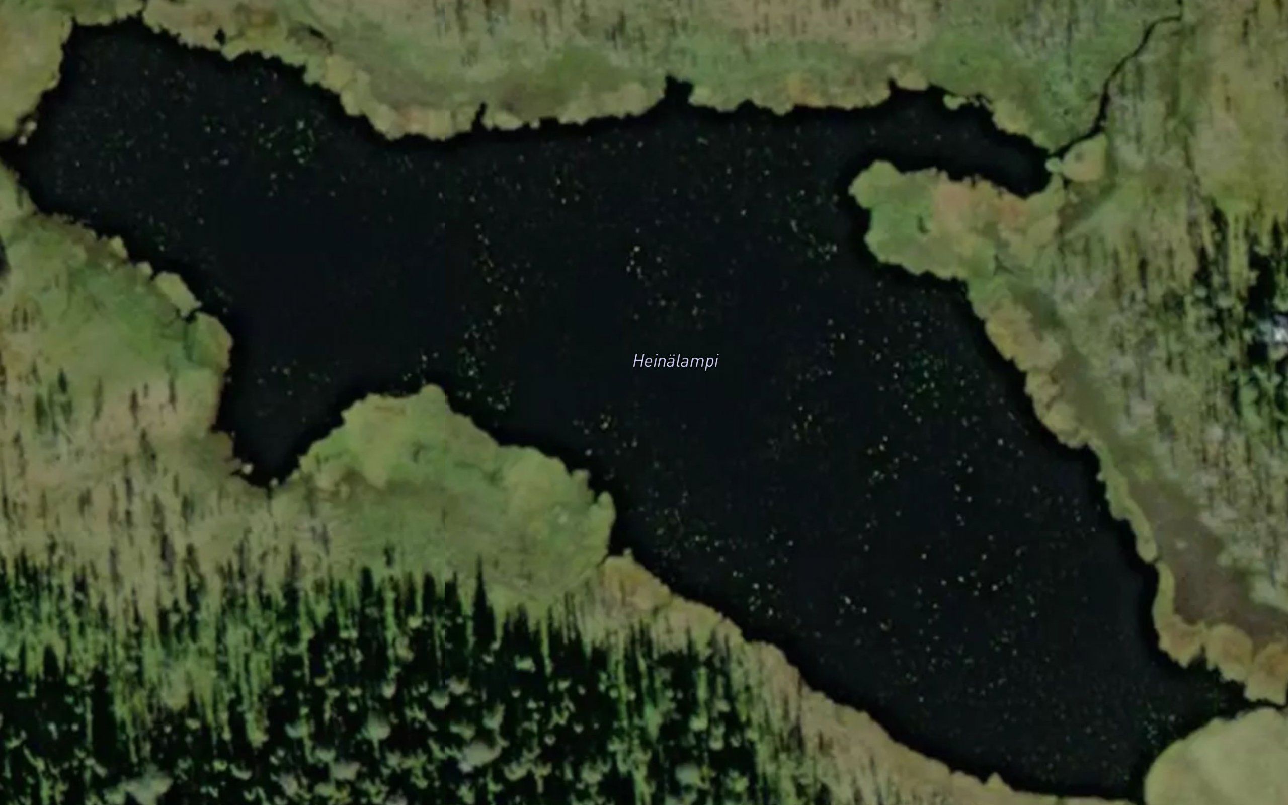 Heinalampi