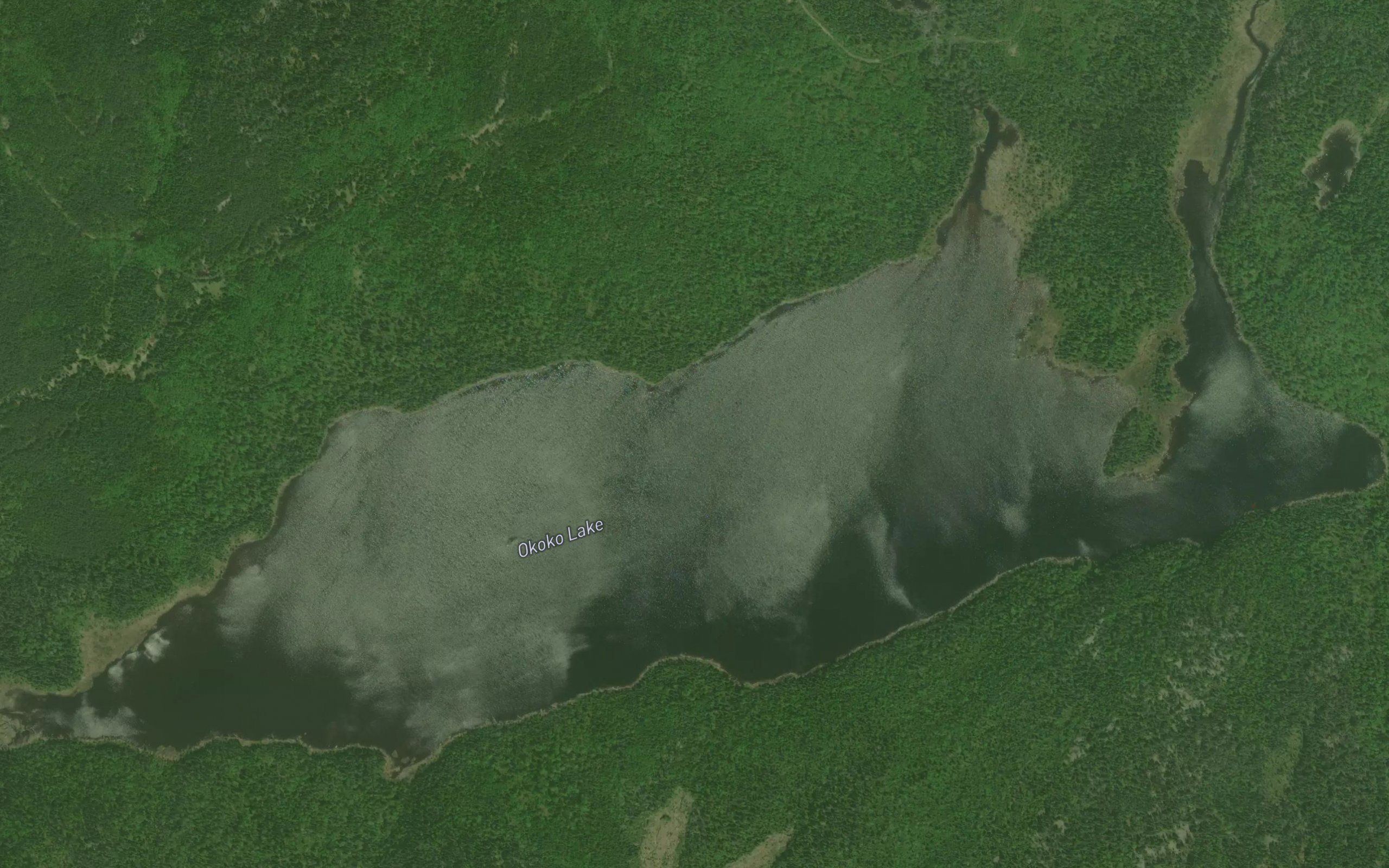 Okoko Lake