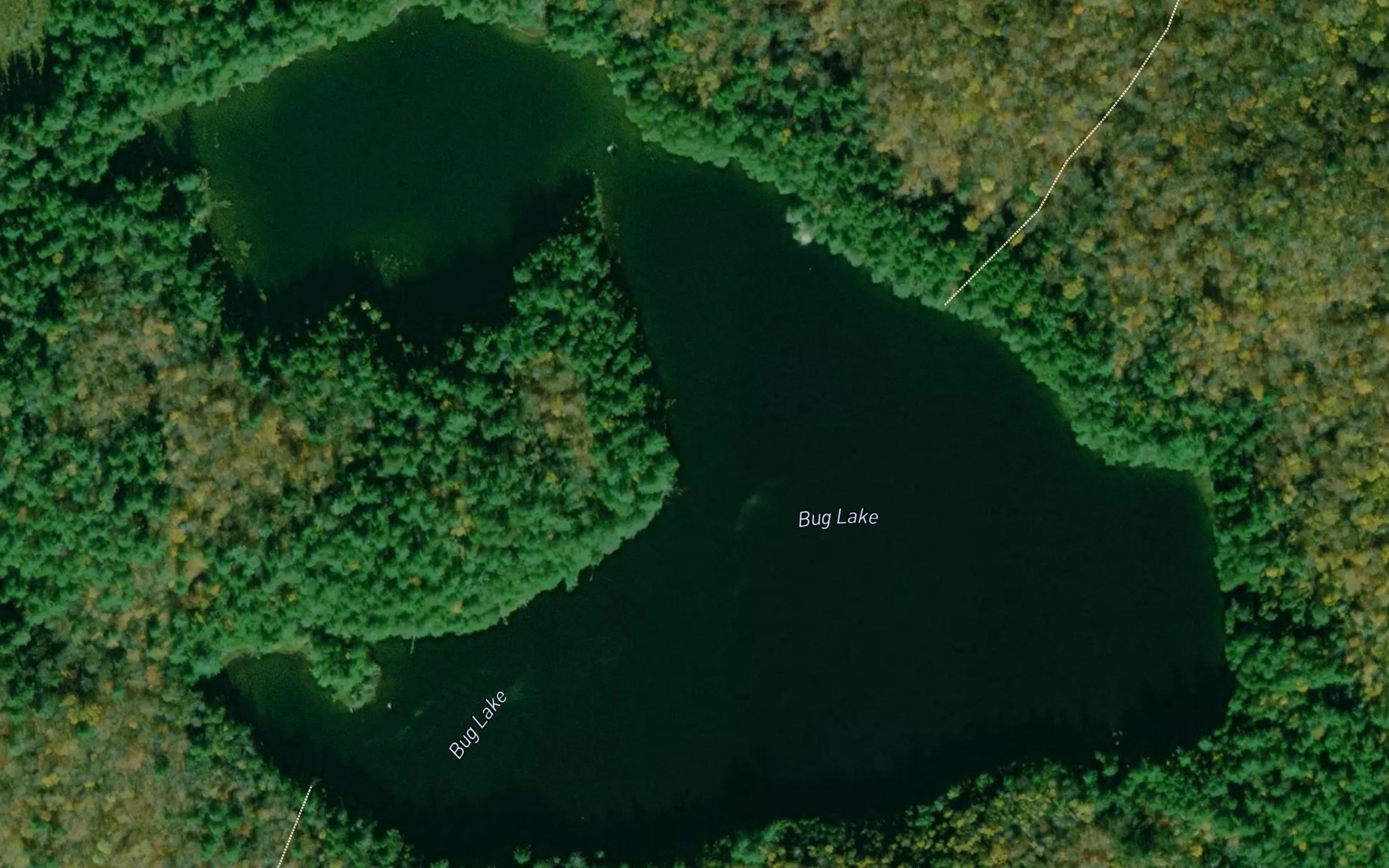 Satellite map of the Bug Lake
