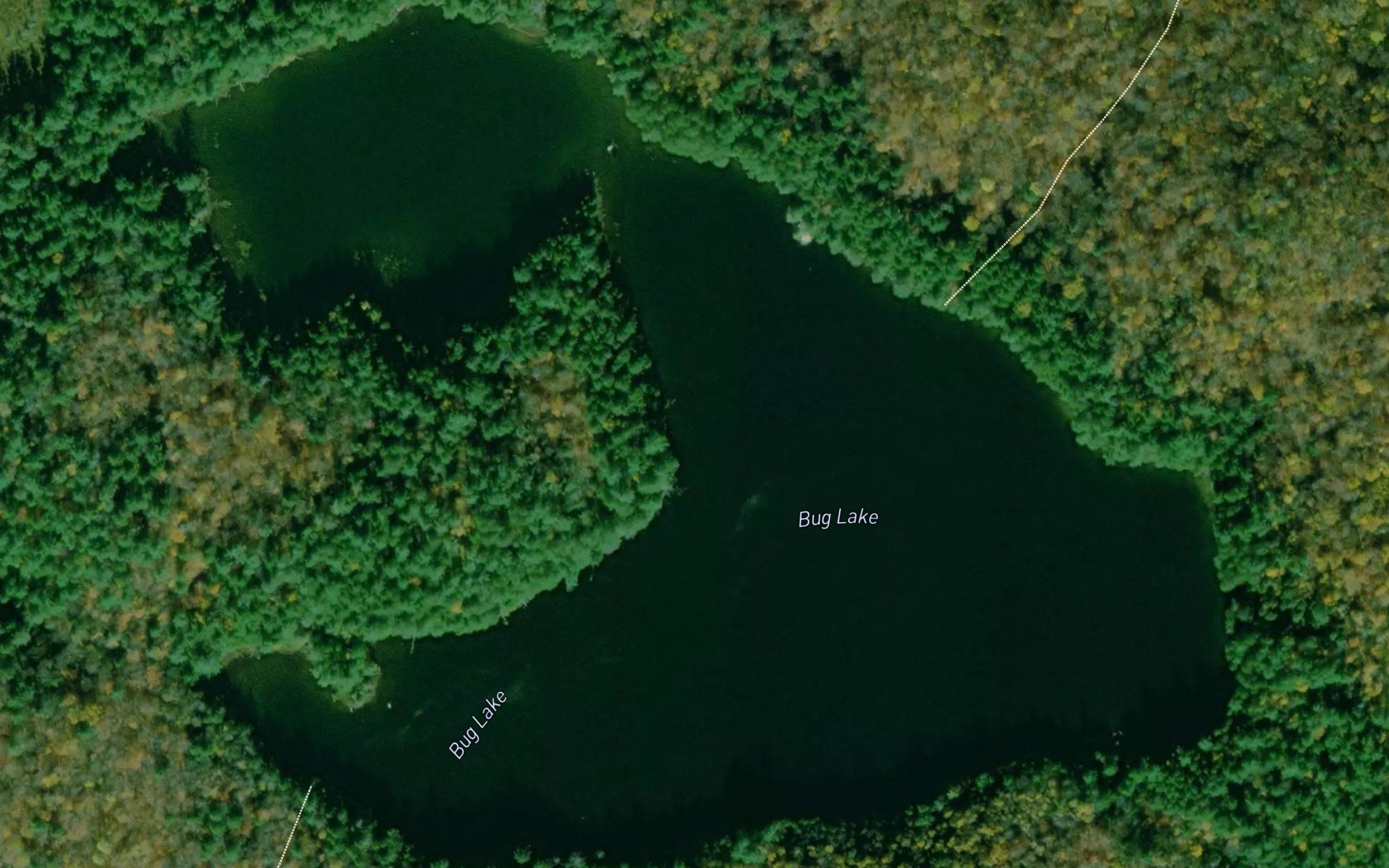 Bug Lake
