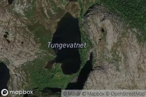Tungevatnet