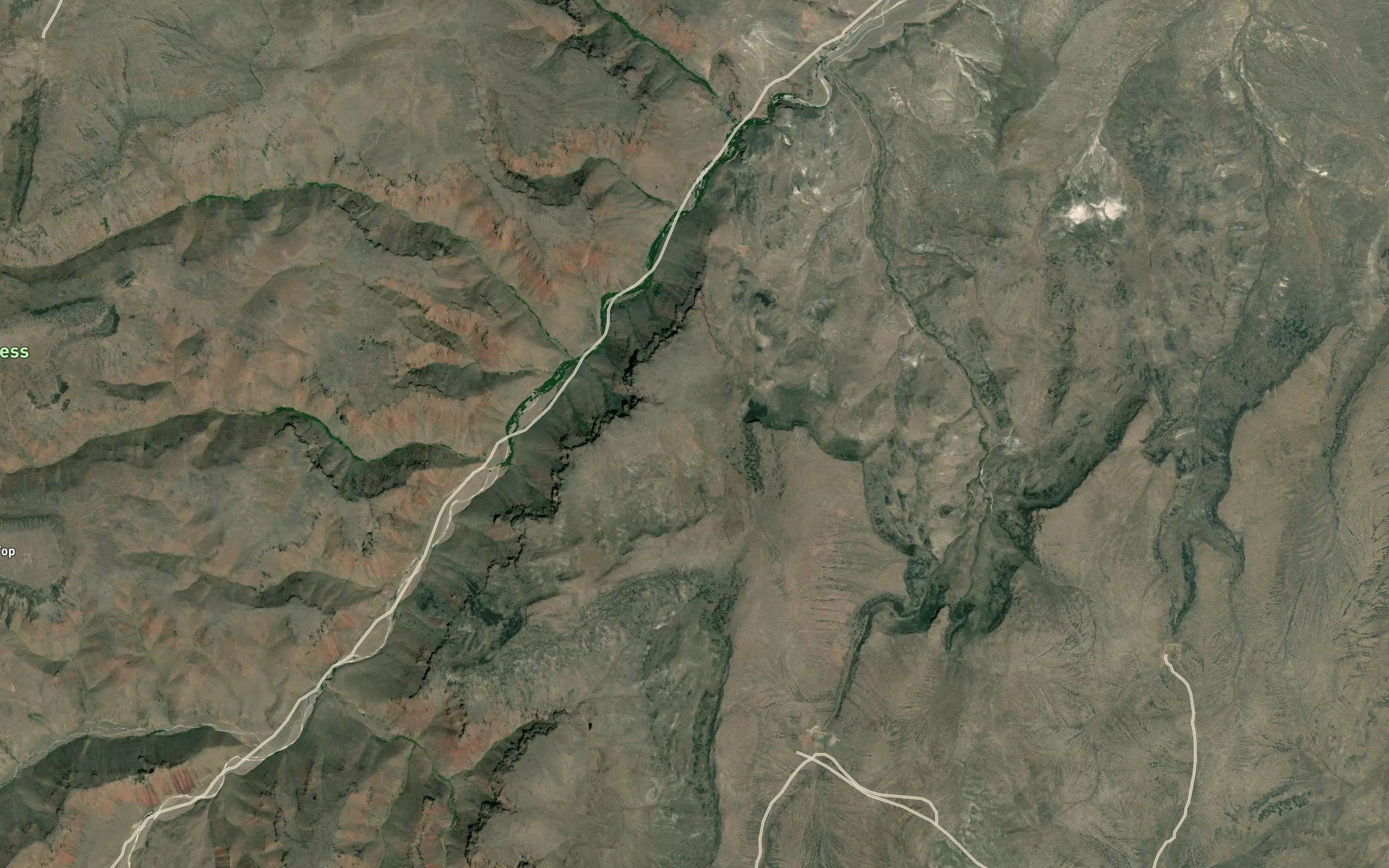 Coleman Spring