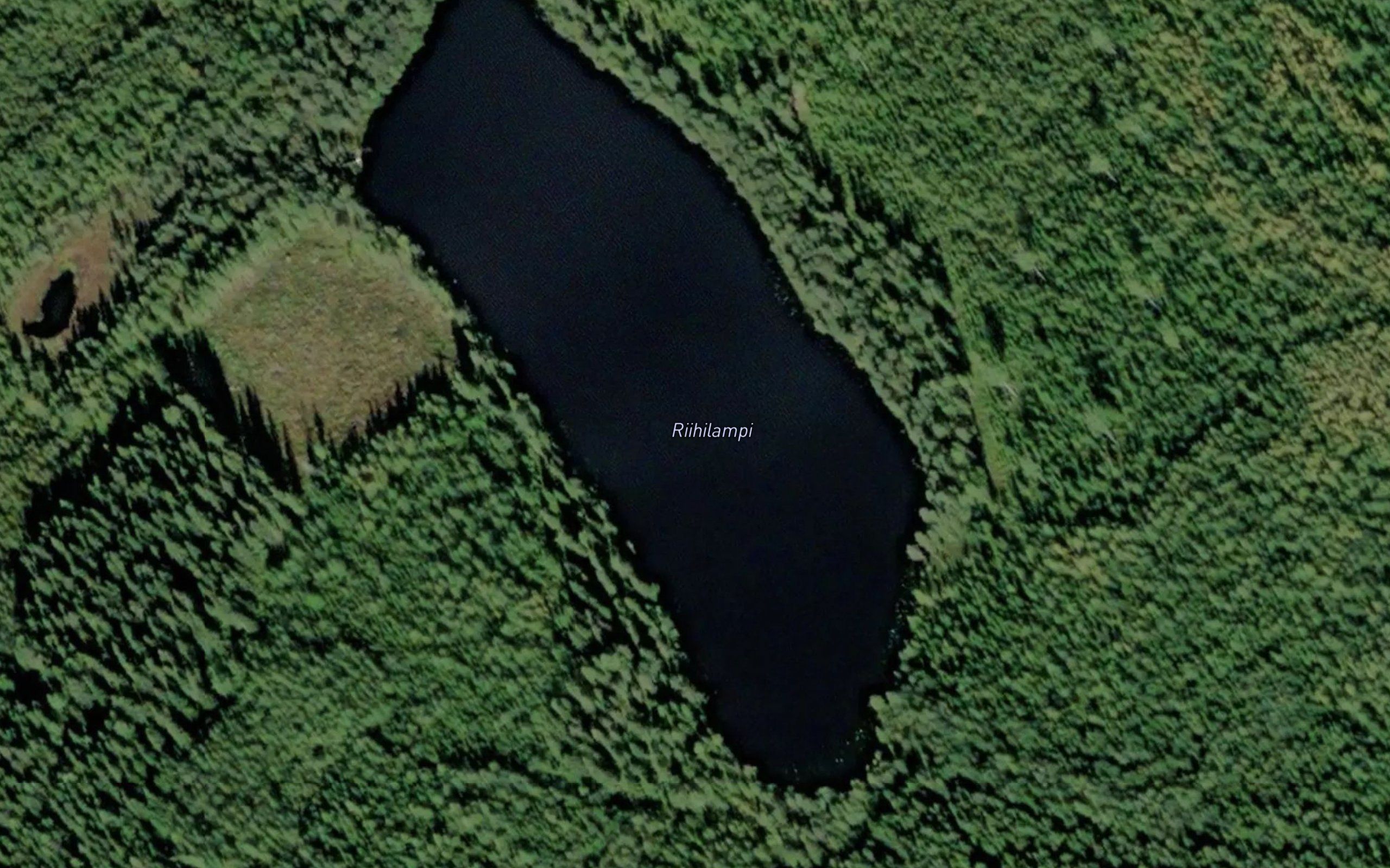 Riihilampi
