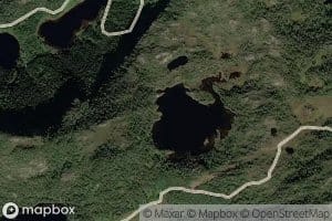 Fjelltjorna
