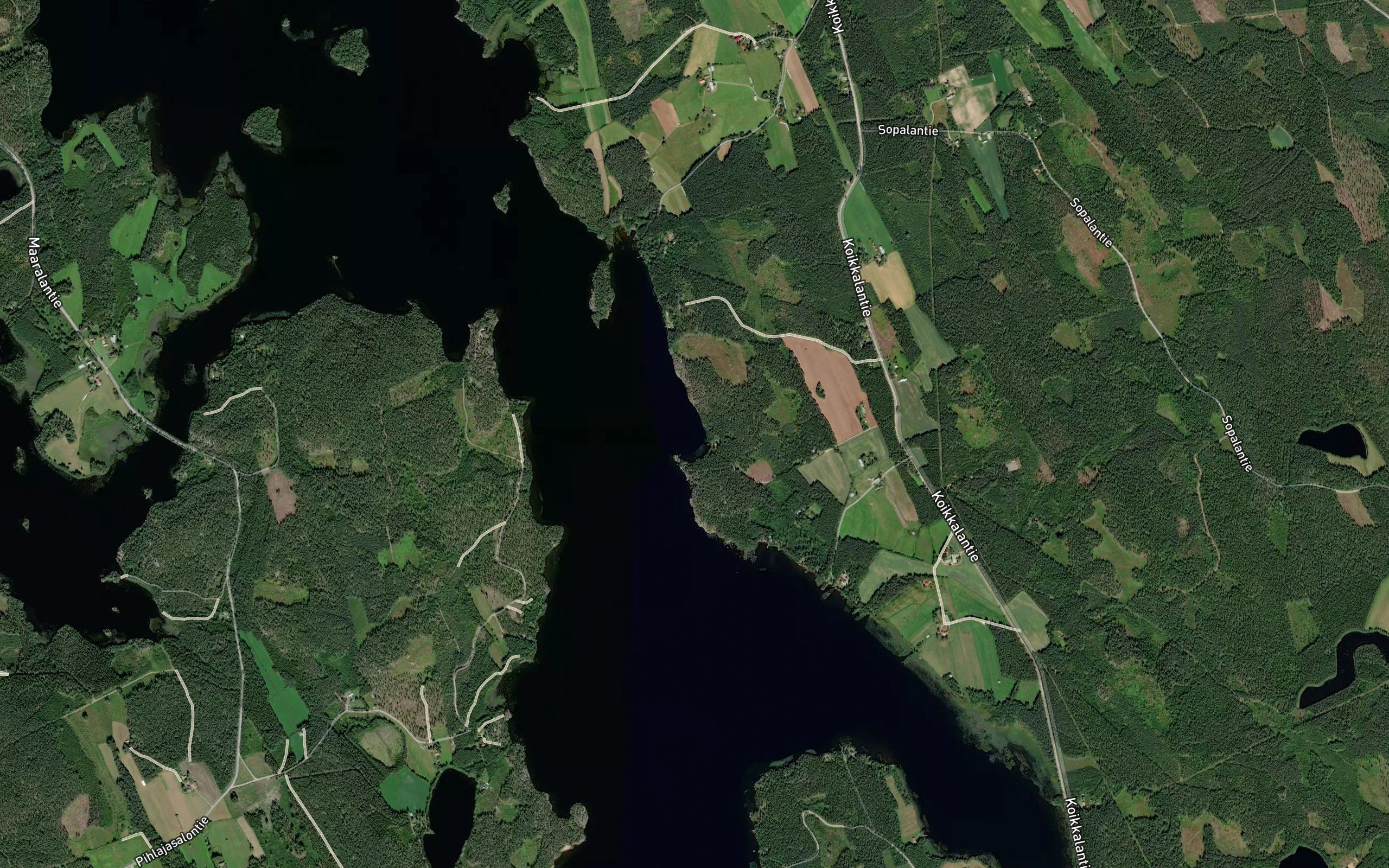 Viserinlahti