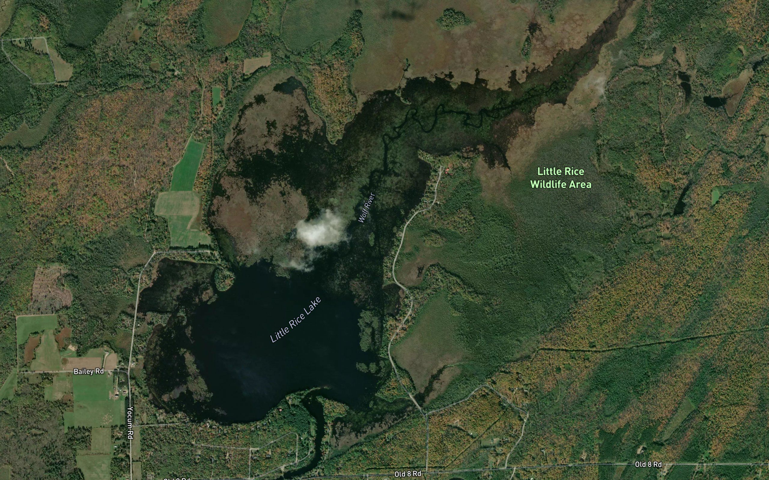 Little Rice Lake
