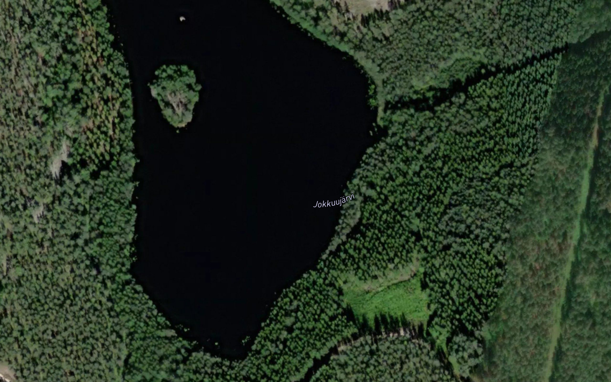 Jokkuujarvi