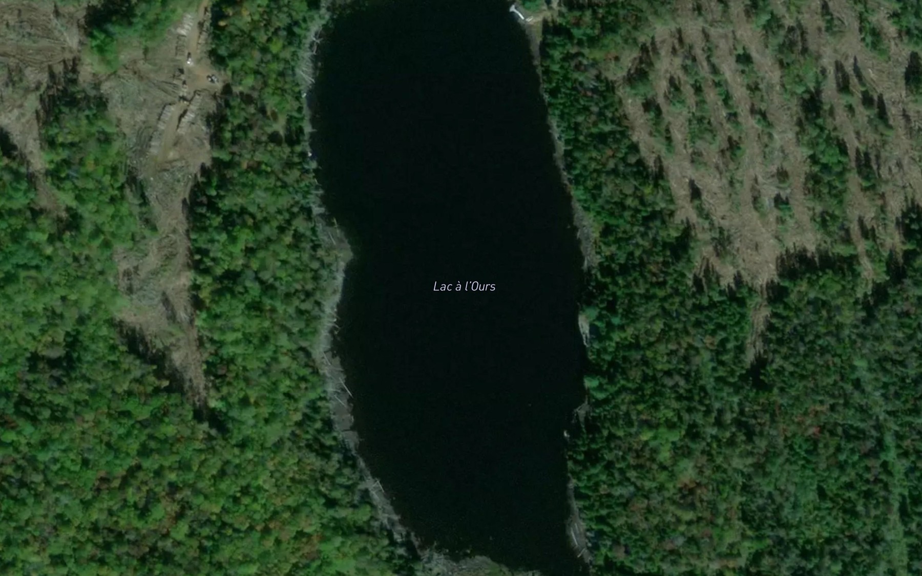 Satellite map of the Lac a l'Ours