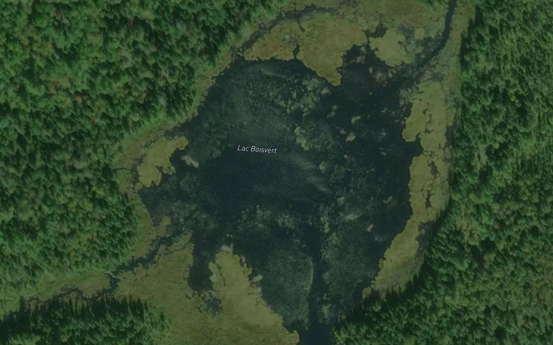 Satellite map of the Lac Boisvert