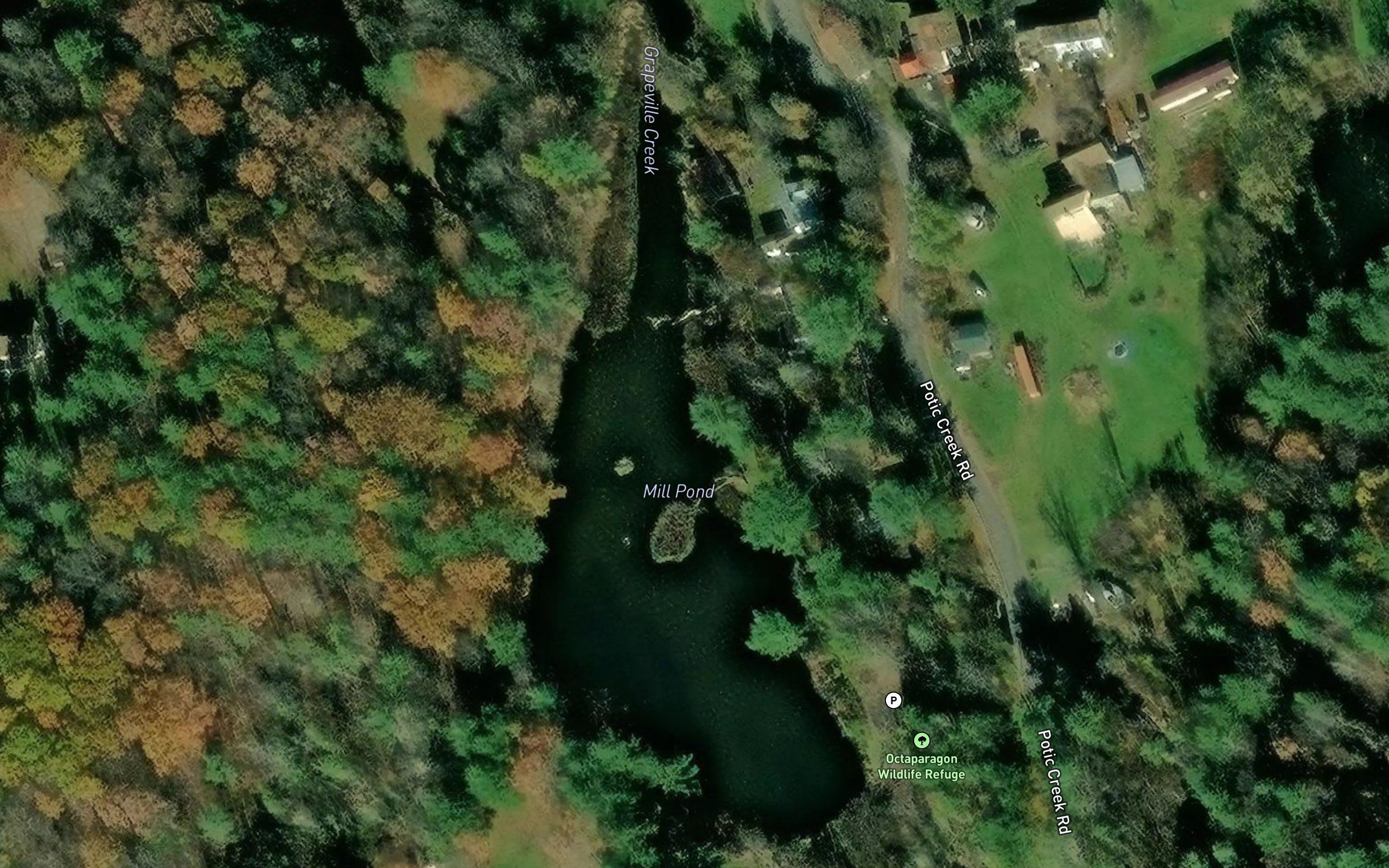 Mill Pond