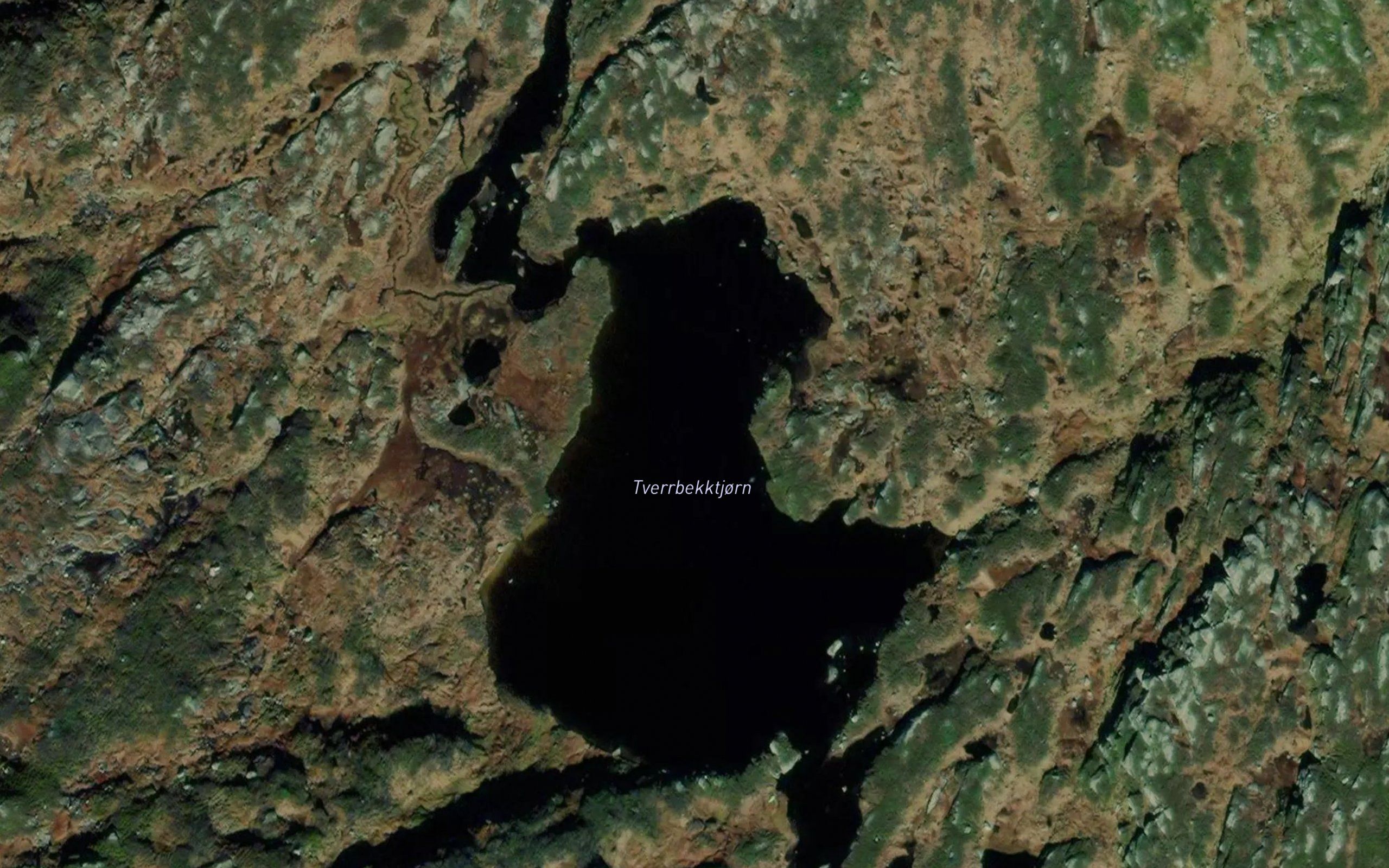 Tverrbekktjorn