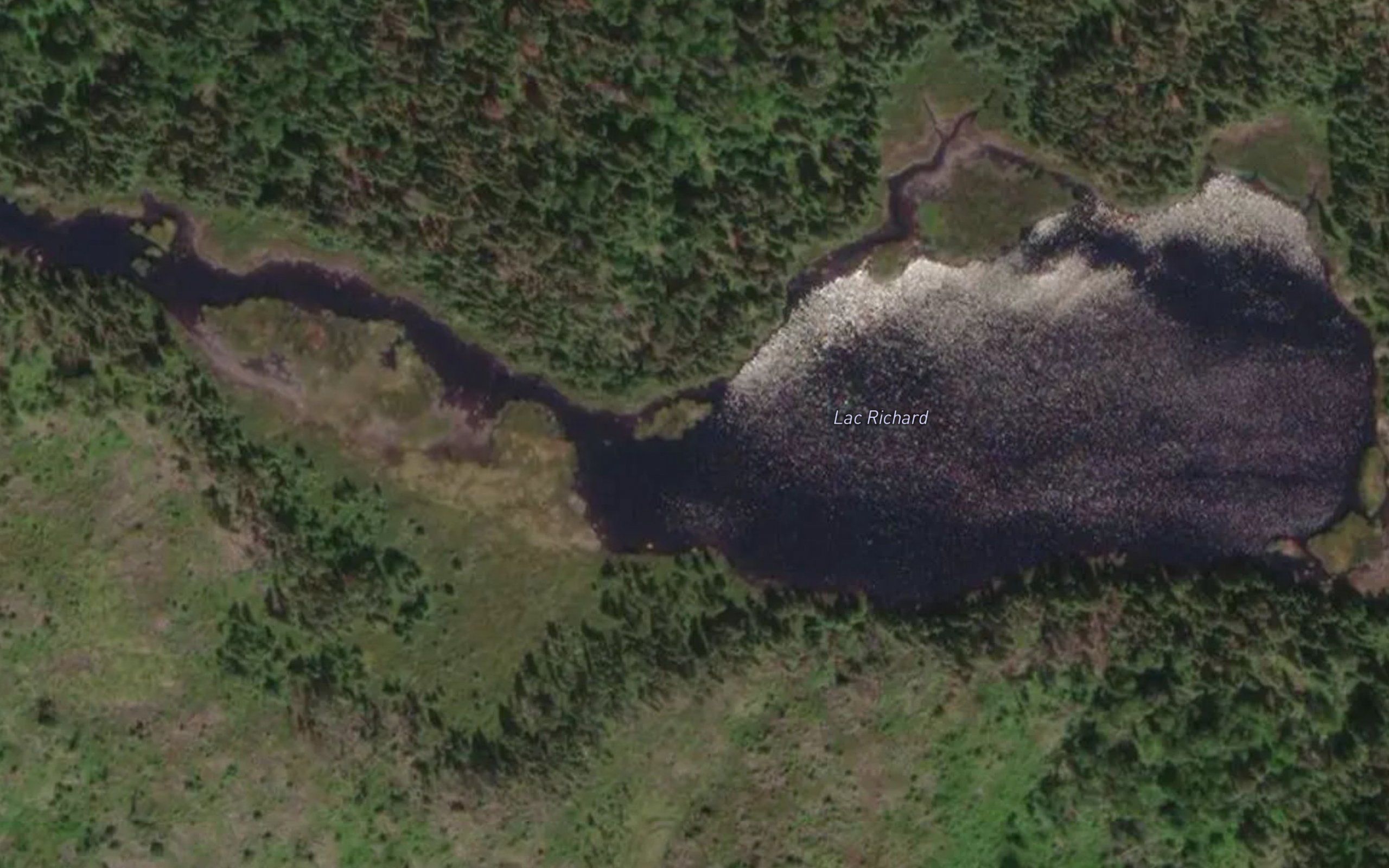 Lac Richard