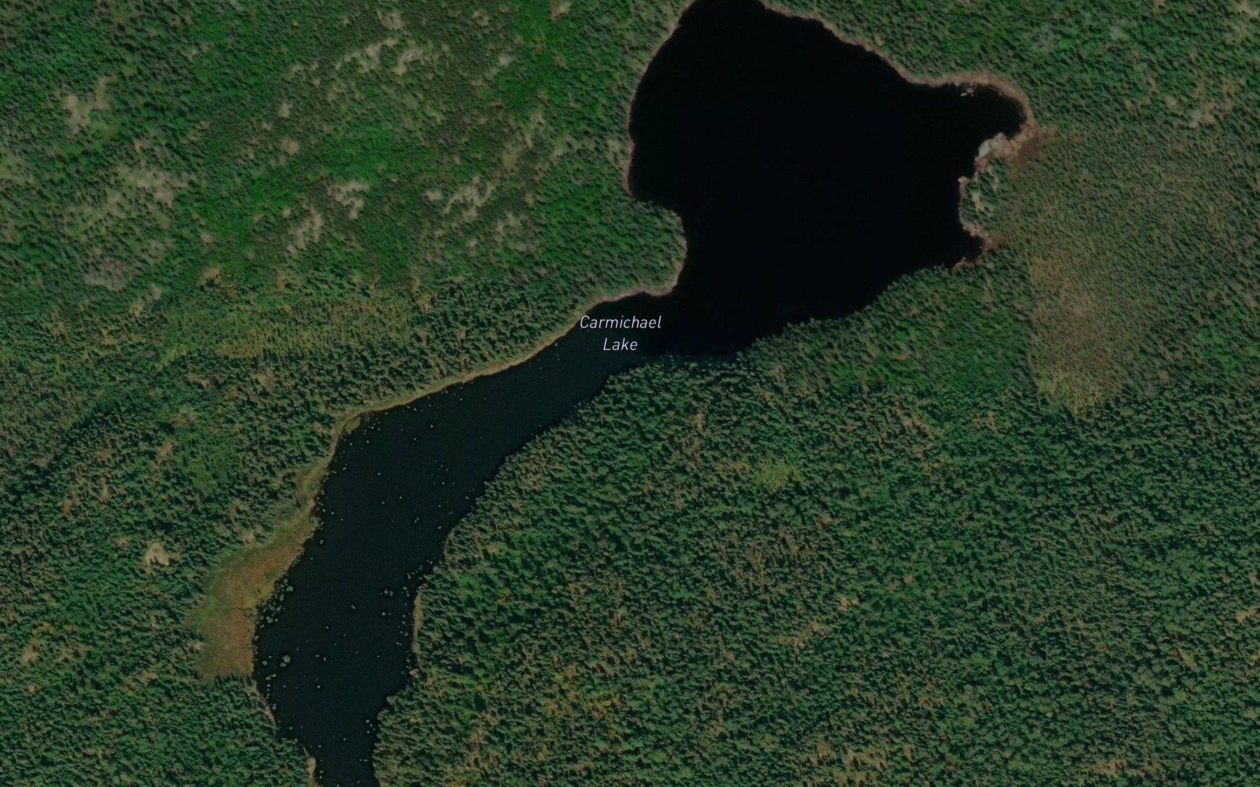 Satellite map of the Carmichael Lake