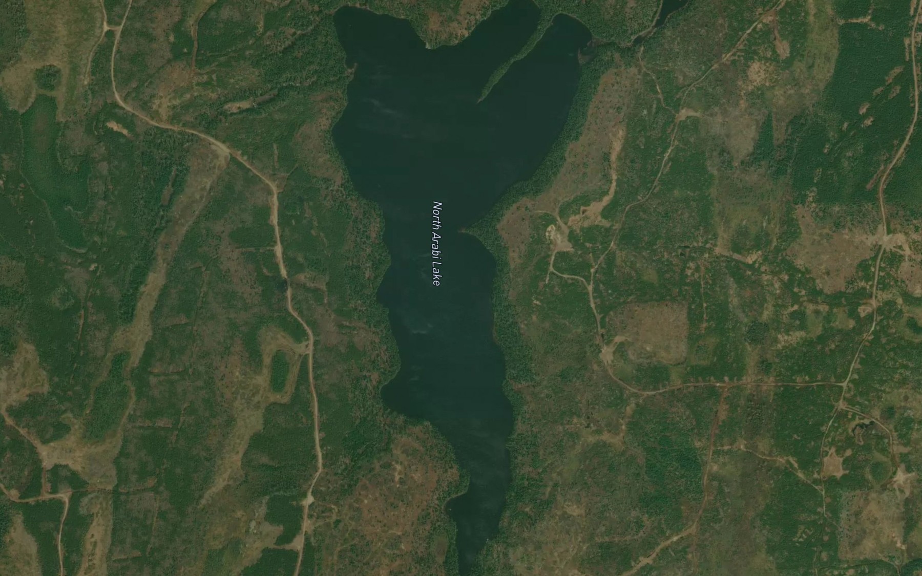 Satellite map of the North Arabi Lake