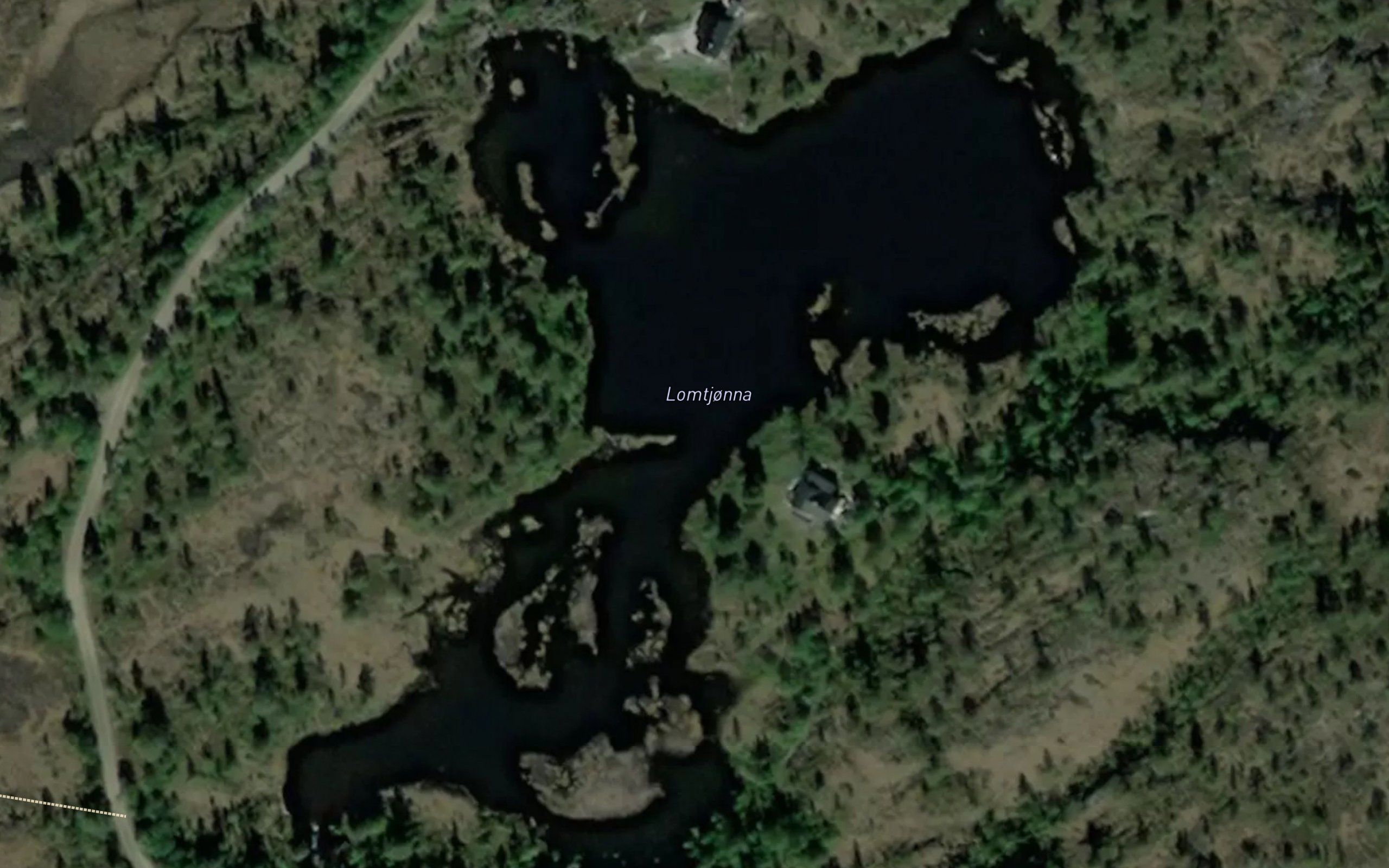 Lomtjonna