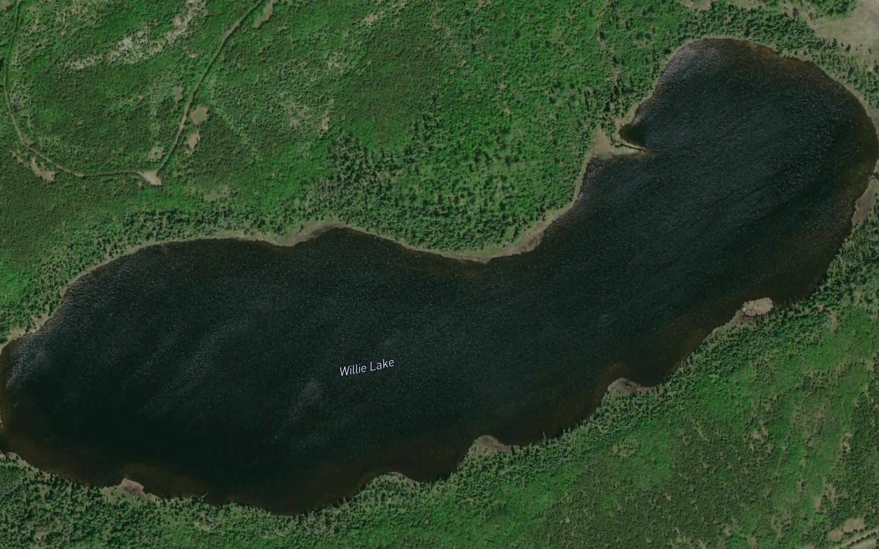 Satellite map of the Willie Lake