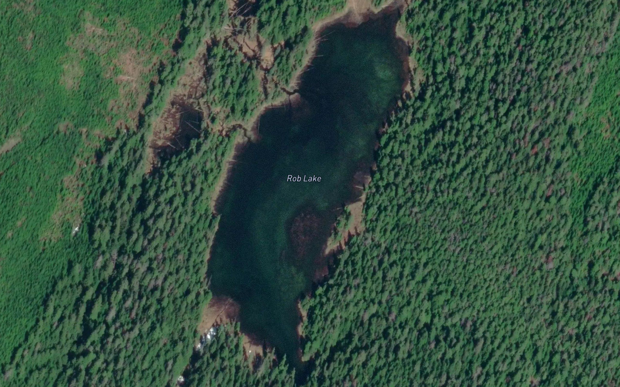 Rob Lake