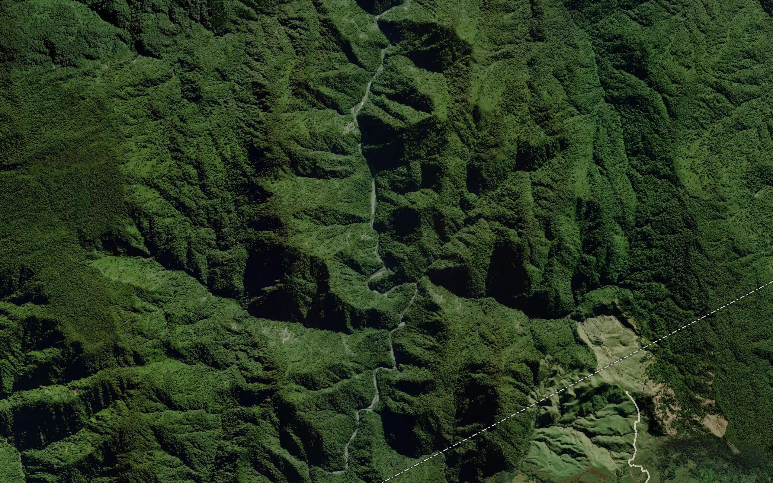 Mangakoiti Stream