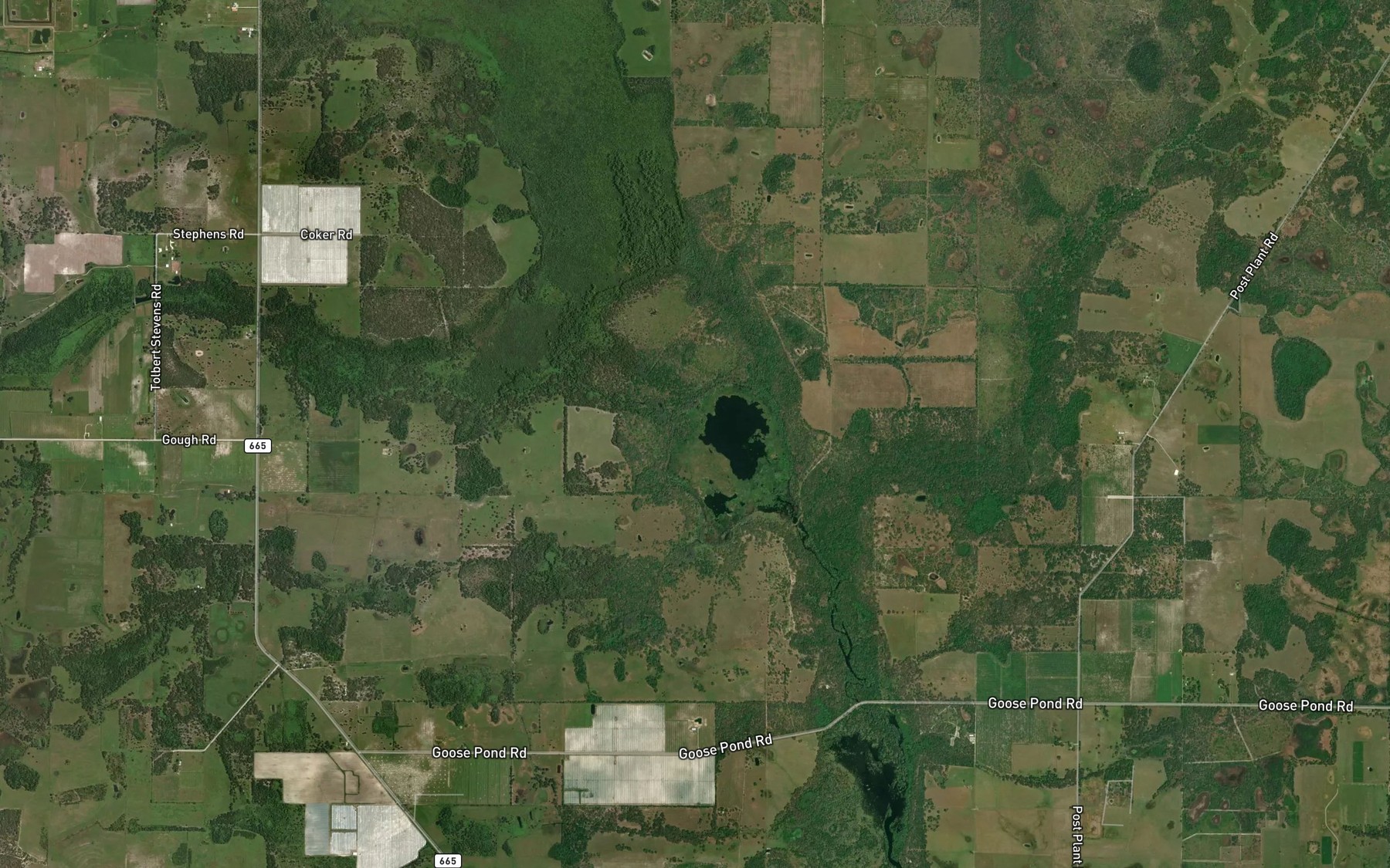 Satellite map of the Elder Branch