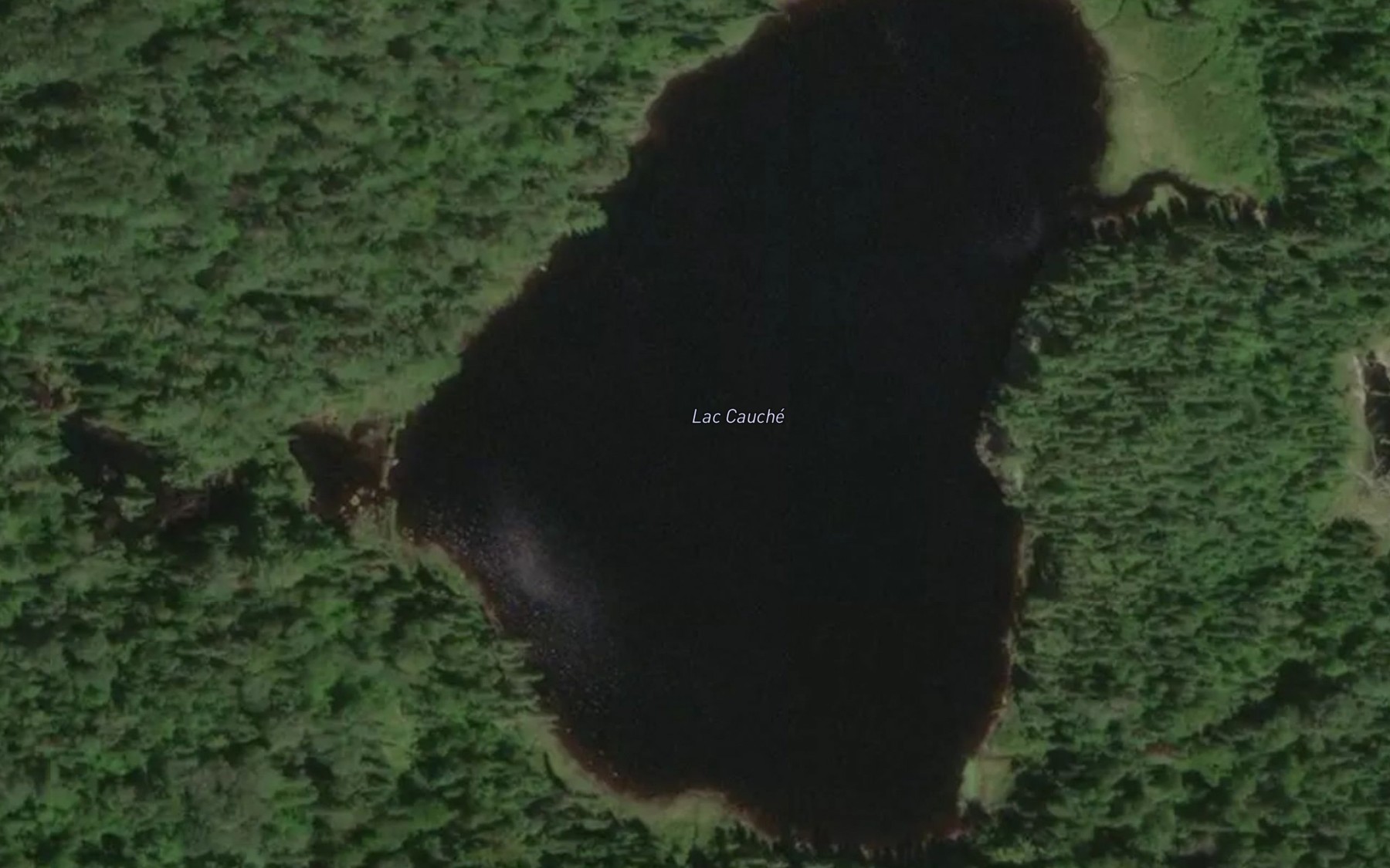 Satellite map of the Lac Cauche