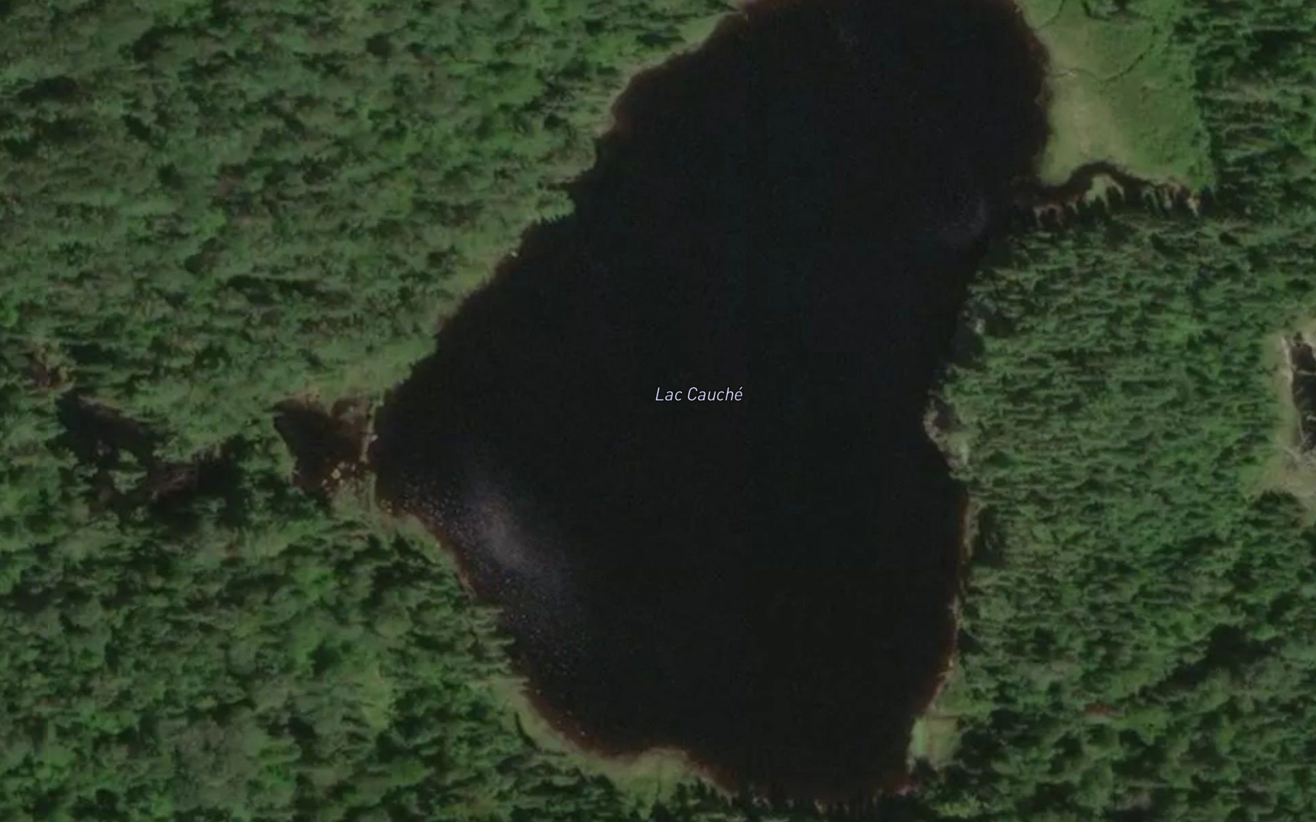 Lac Cauche