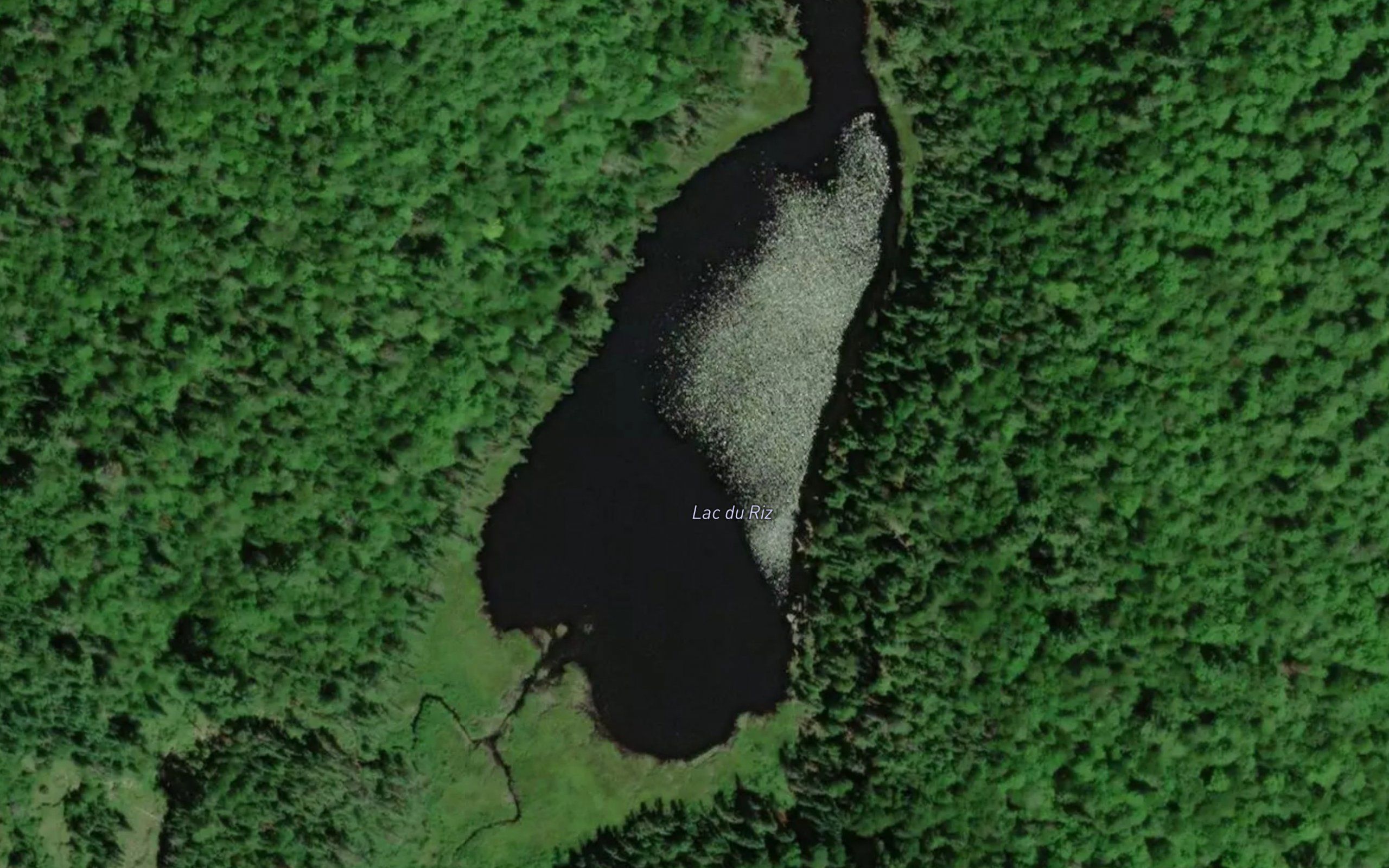 Lac du Riz