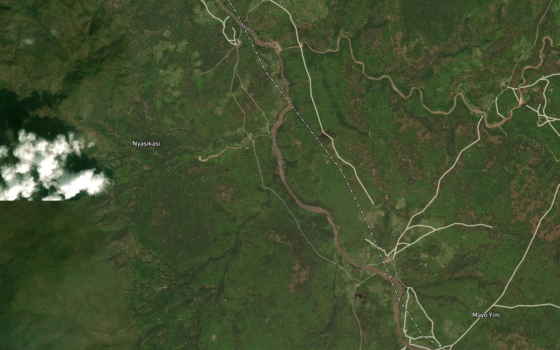 Satellite map of the River Tam