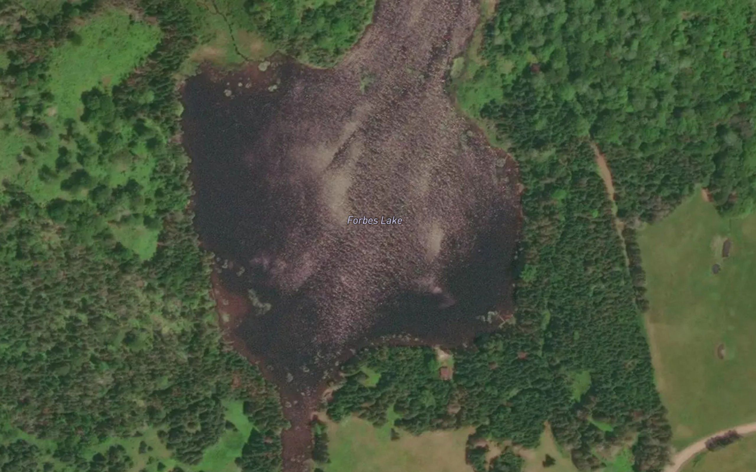 Forbes Lake