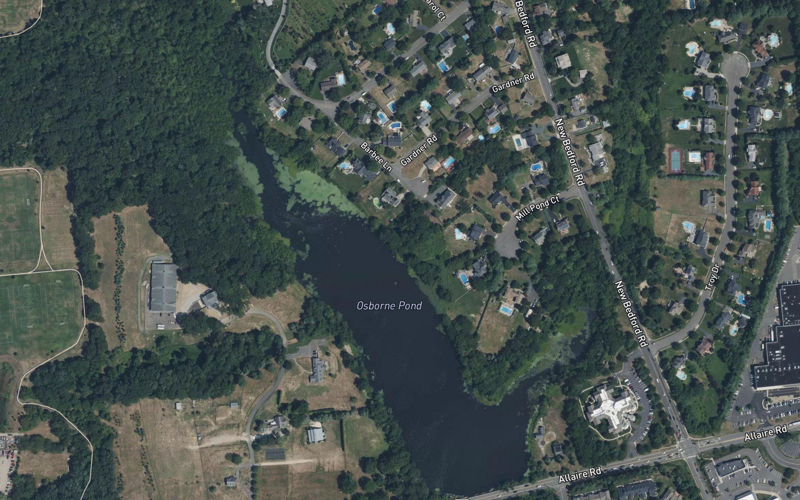Osborne Pond