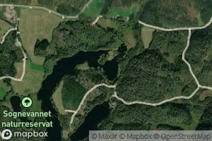 Songevatnet