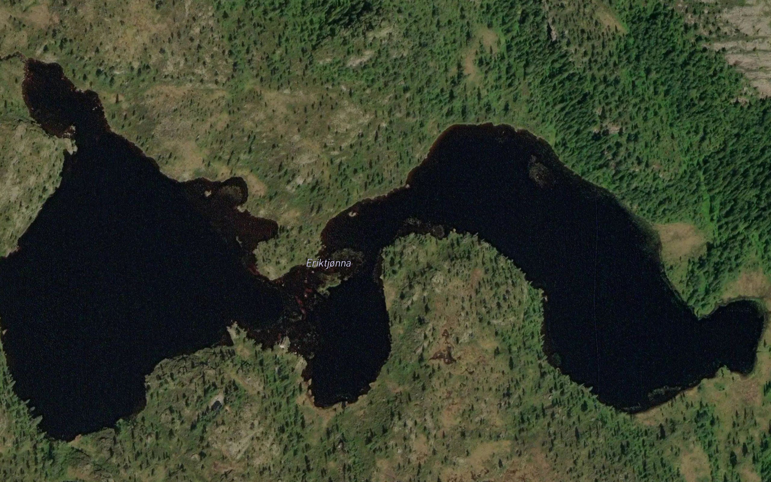 Eriktjonna