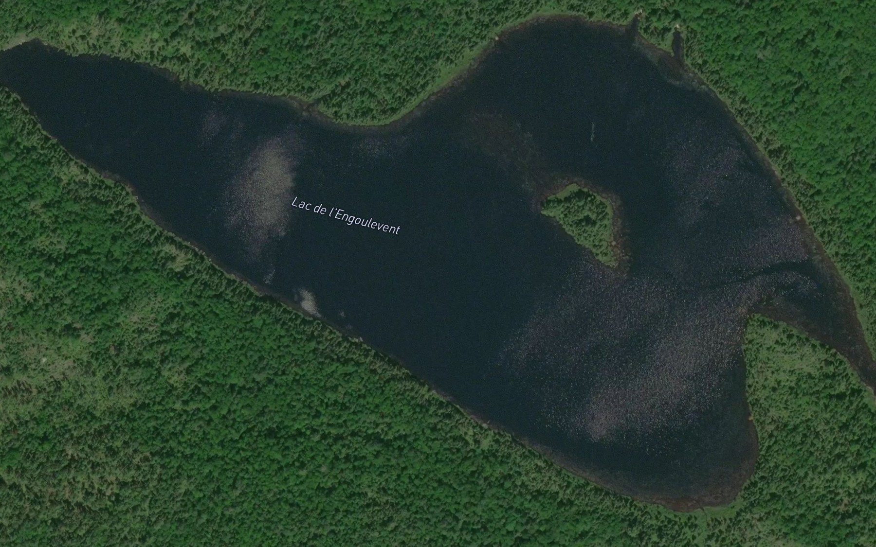 Satellite map of the Lac de l'Engoulevent