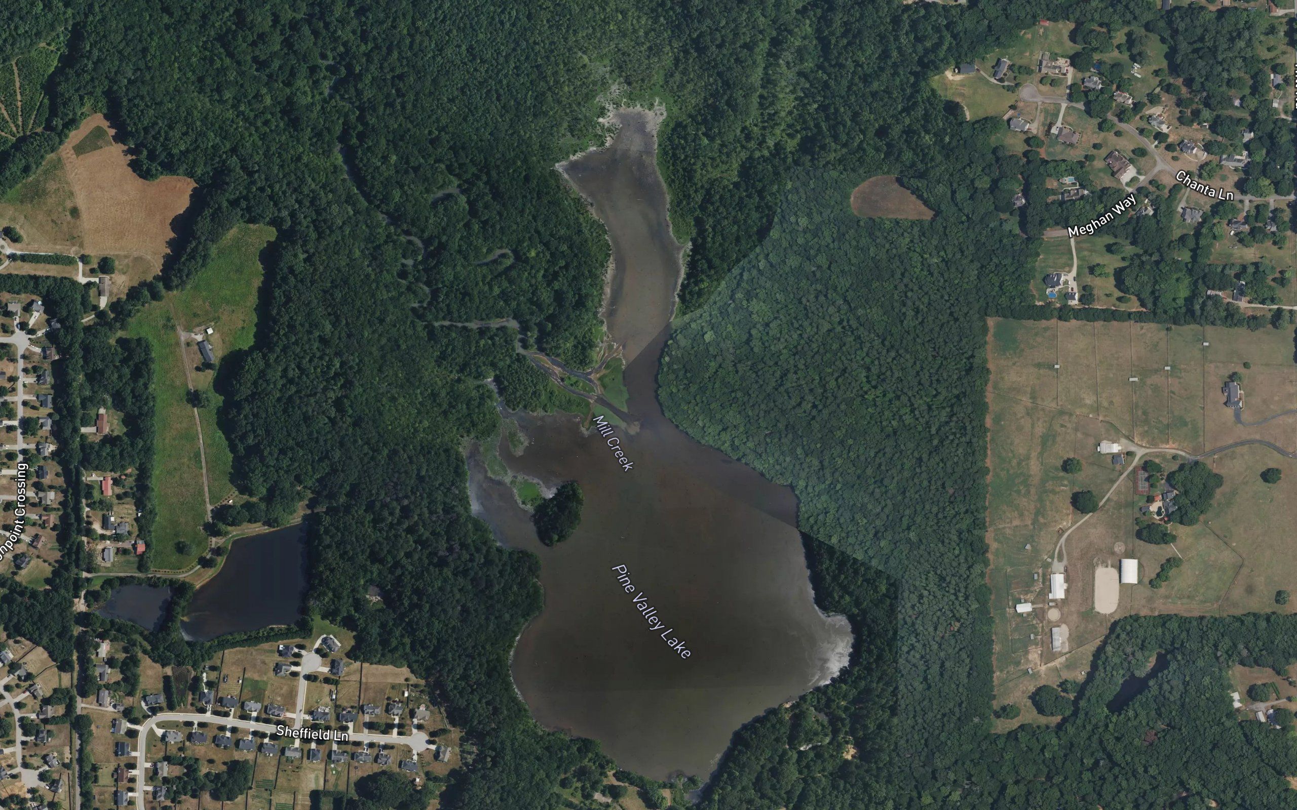 Pine Valley Lake