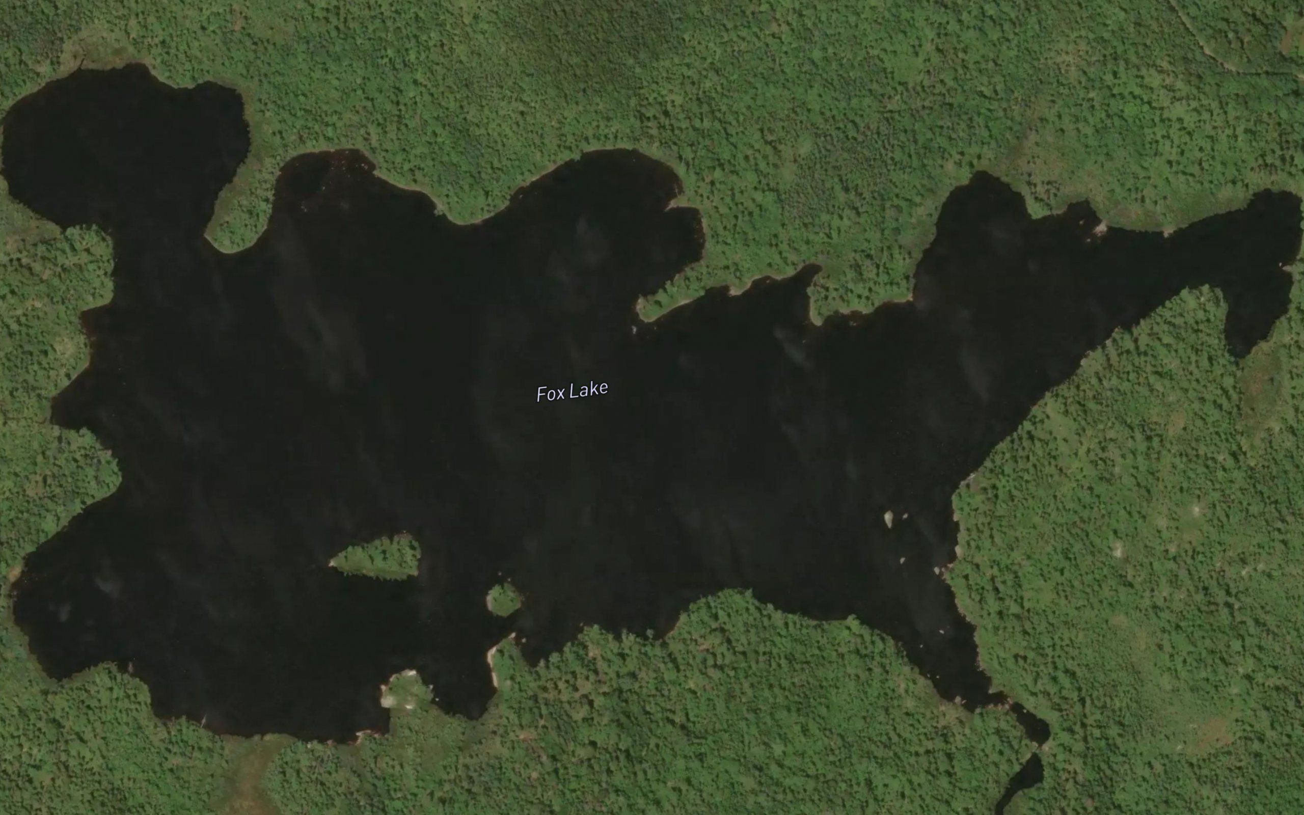 Fox Lake