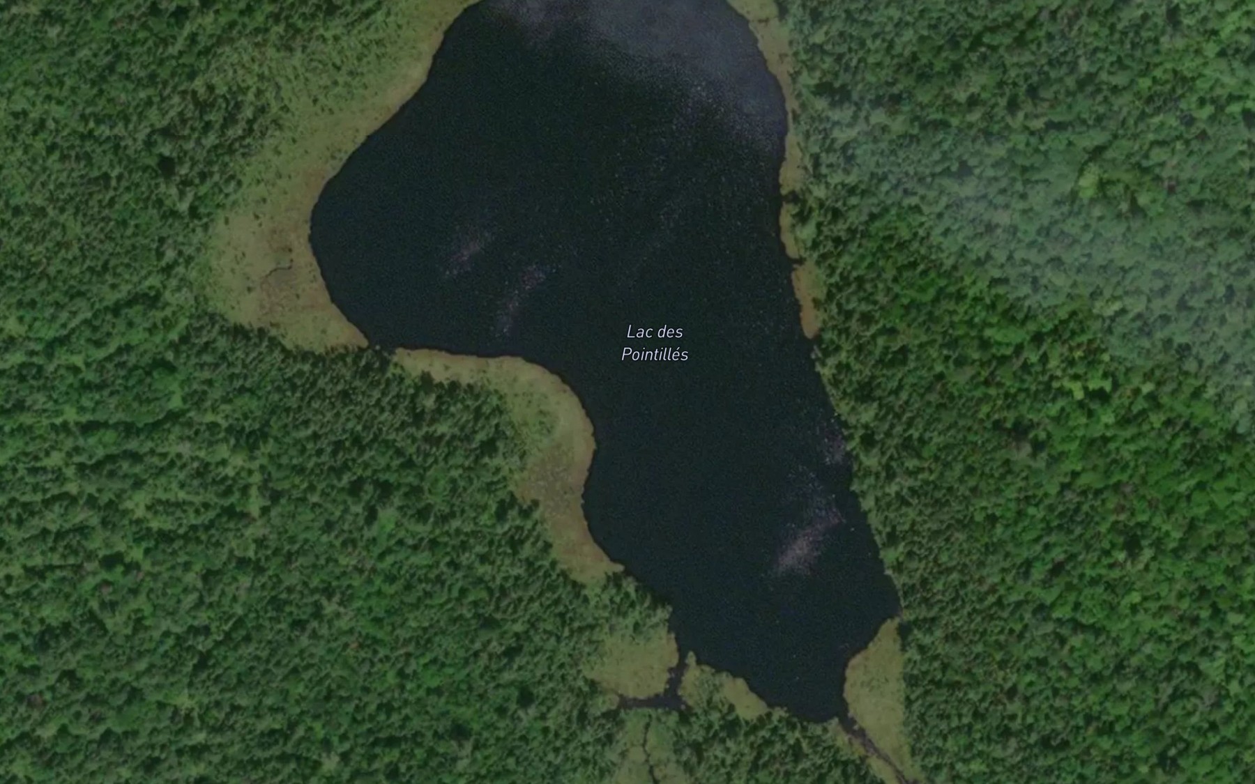Satellite map of the Lac des Pointilles