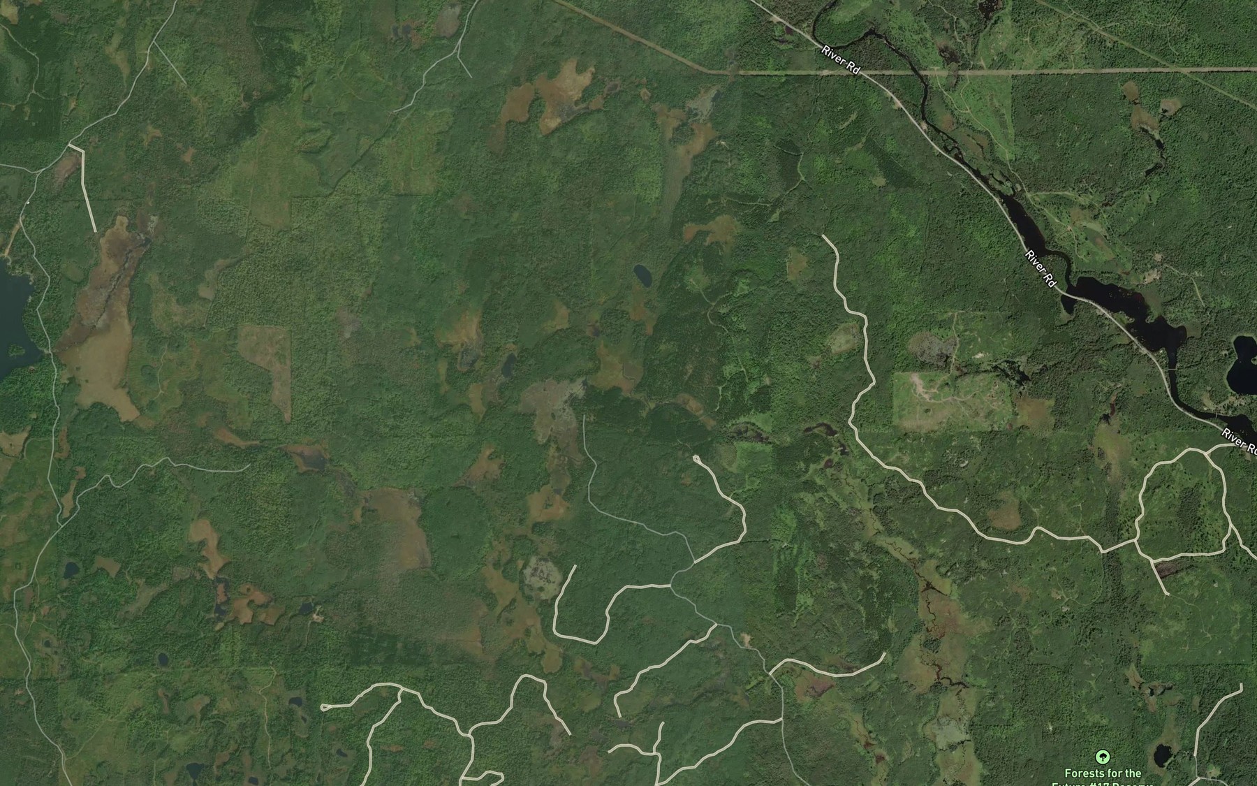 Satellite map of the Northwest Lake