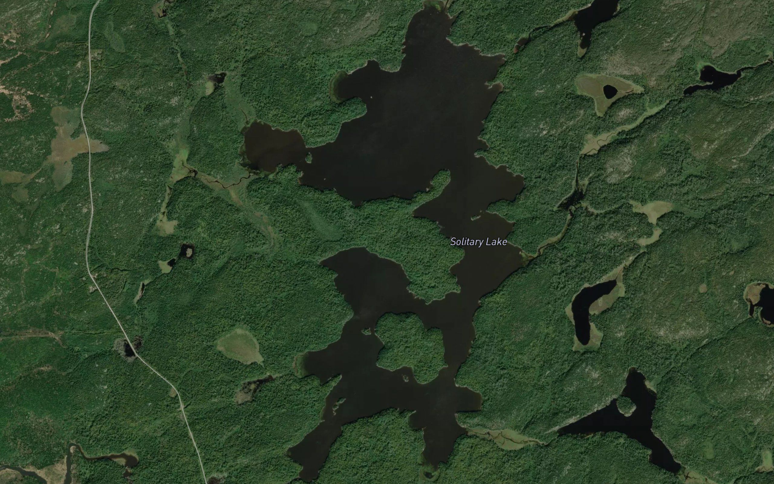Solitary Lake