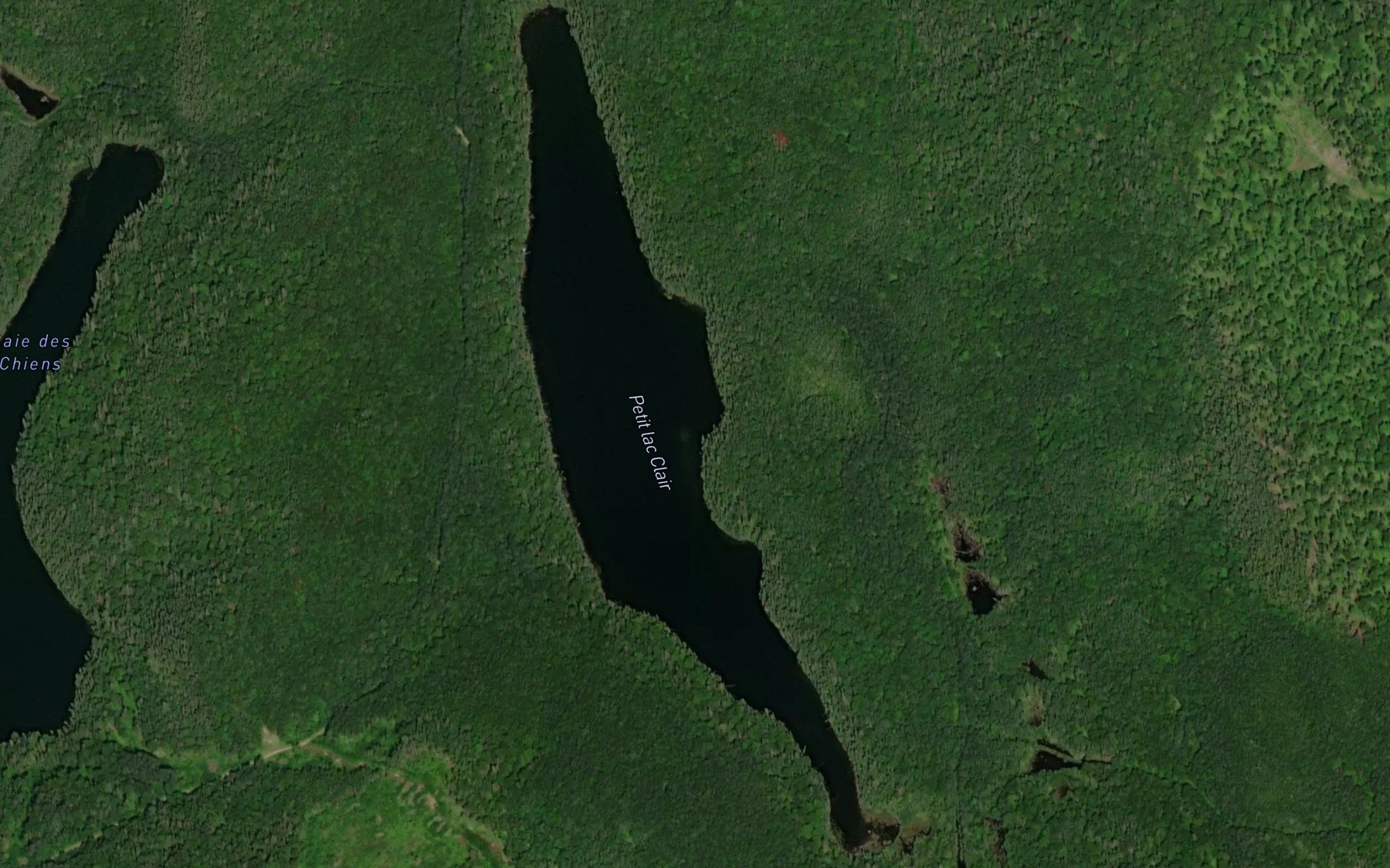 Satellite map of the Petit lac Clair
