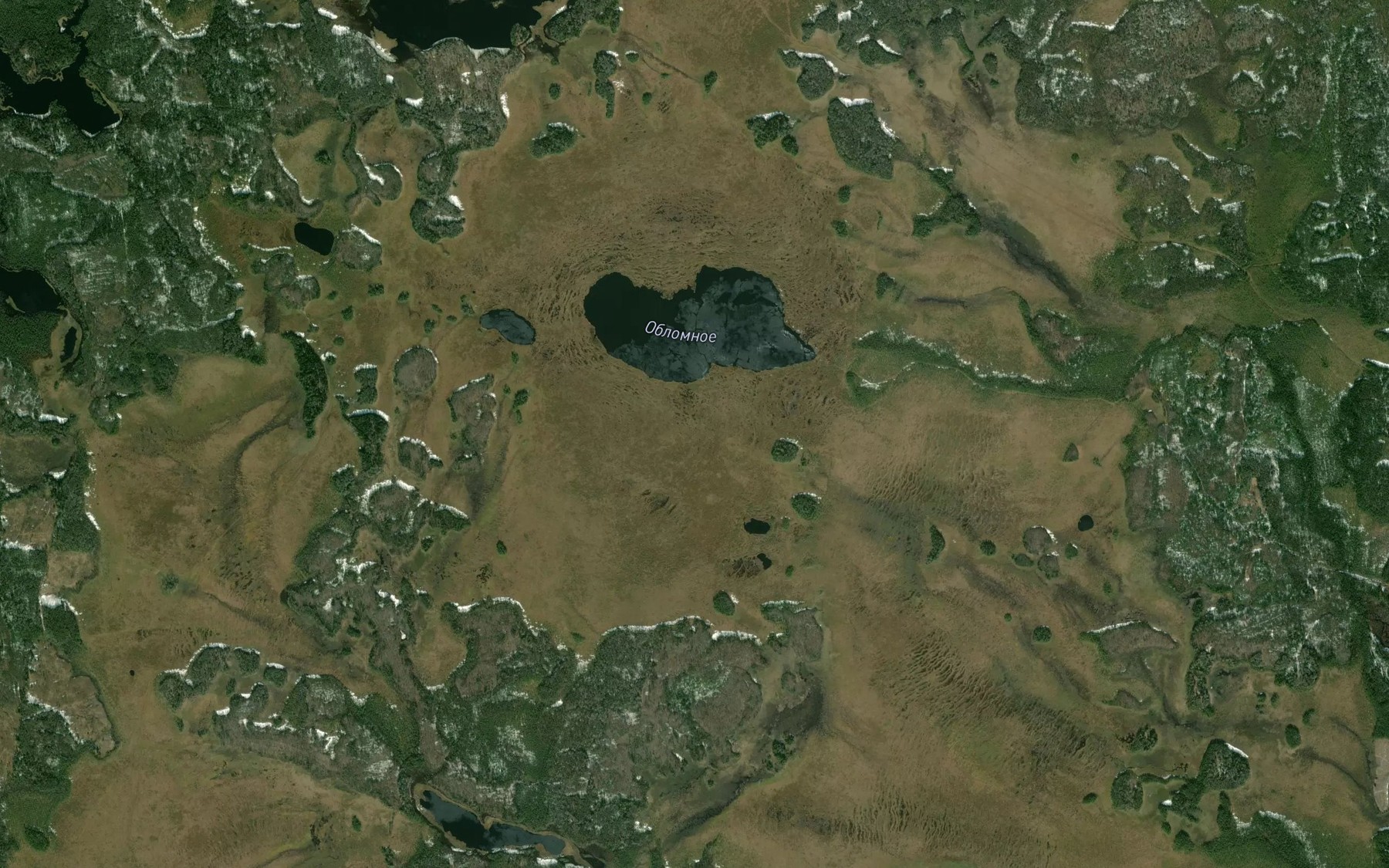 Satellite map of the Ozero Oblomnoye