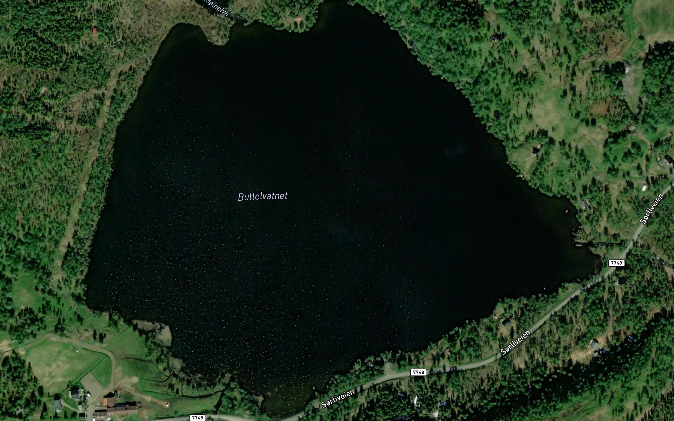 Buttelvatnet