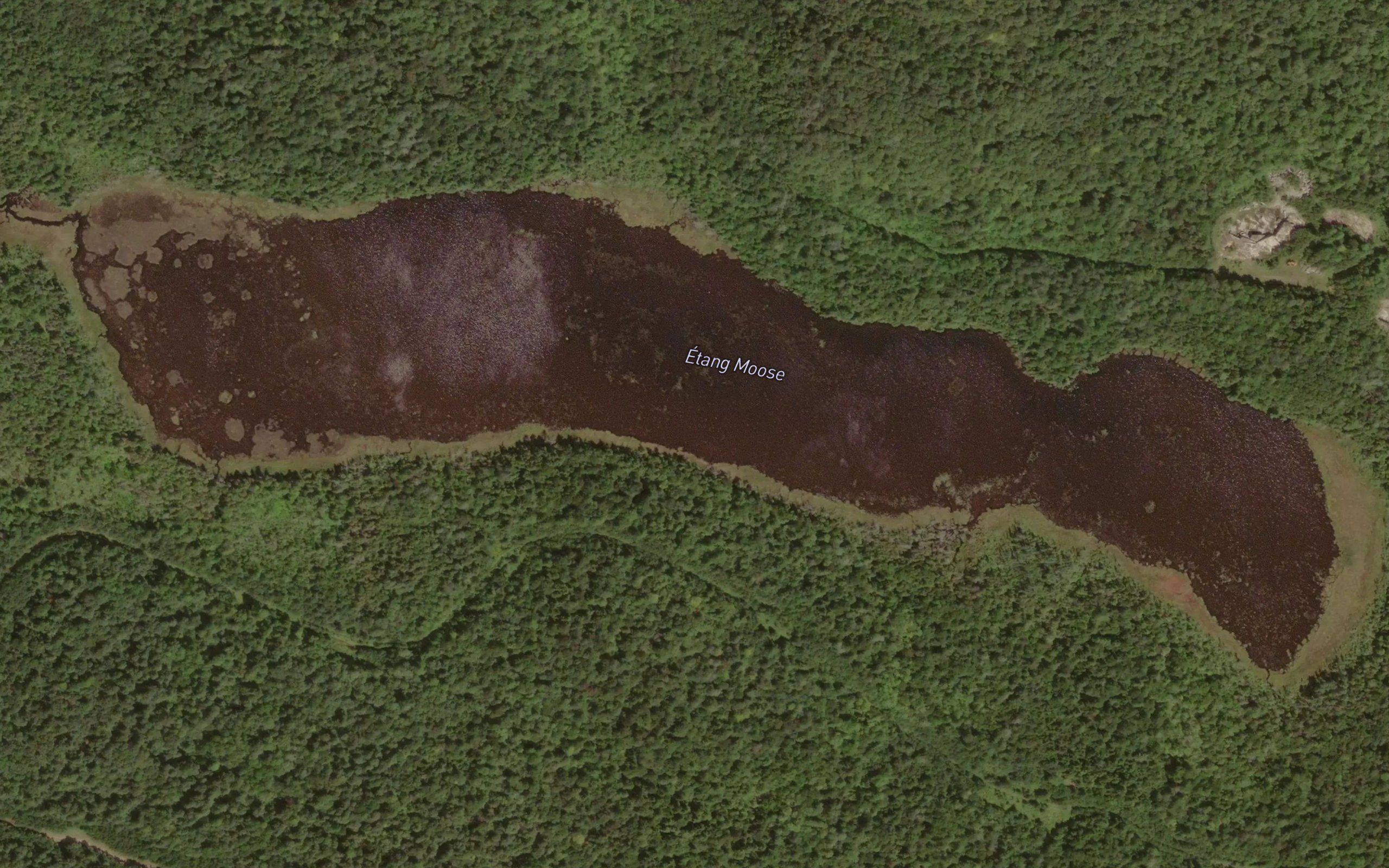 Etang Moose