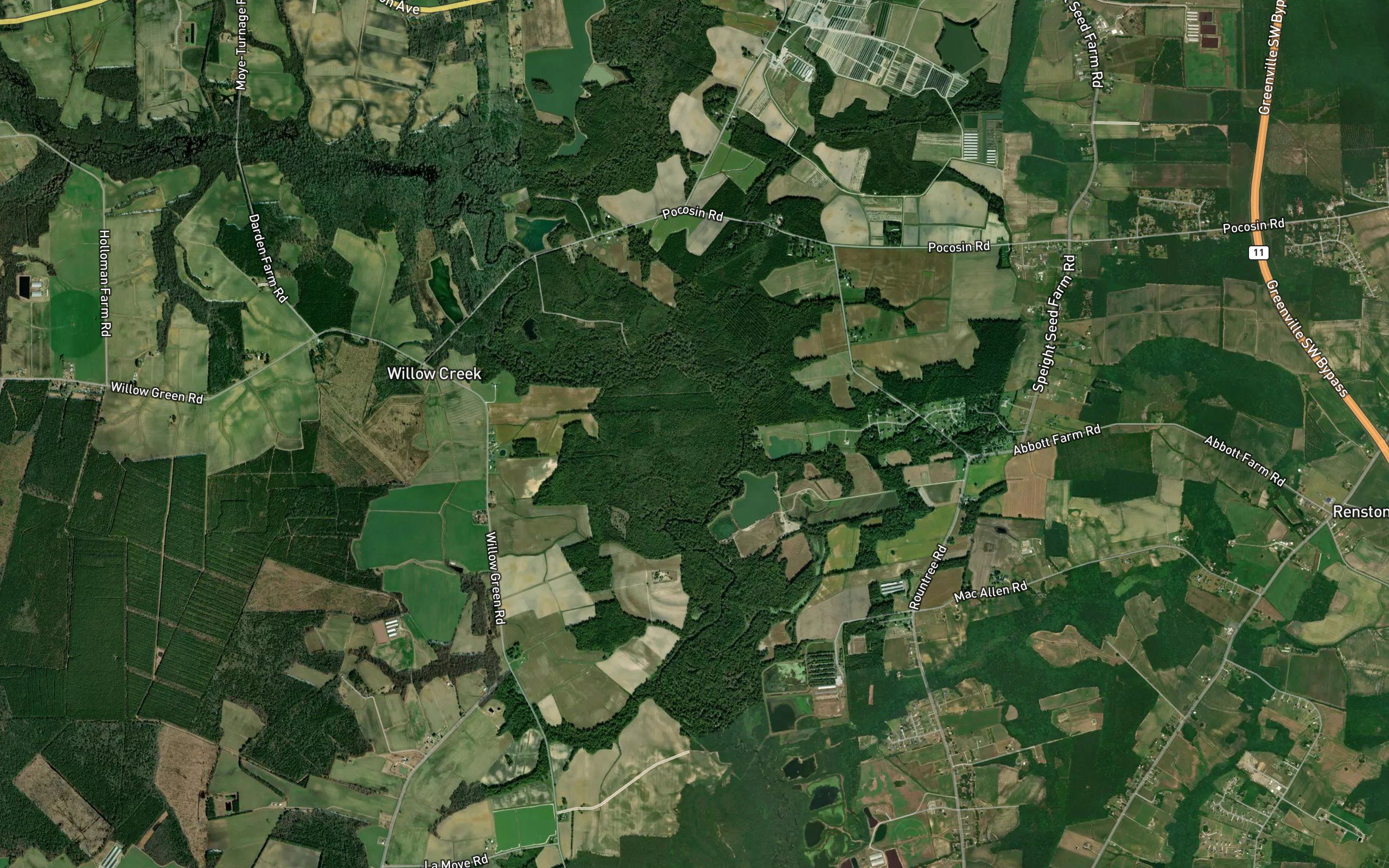 Middle Swamp