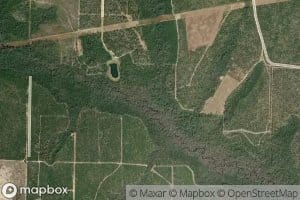 Max Spring Branch