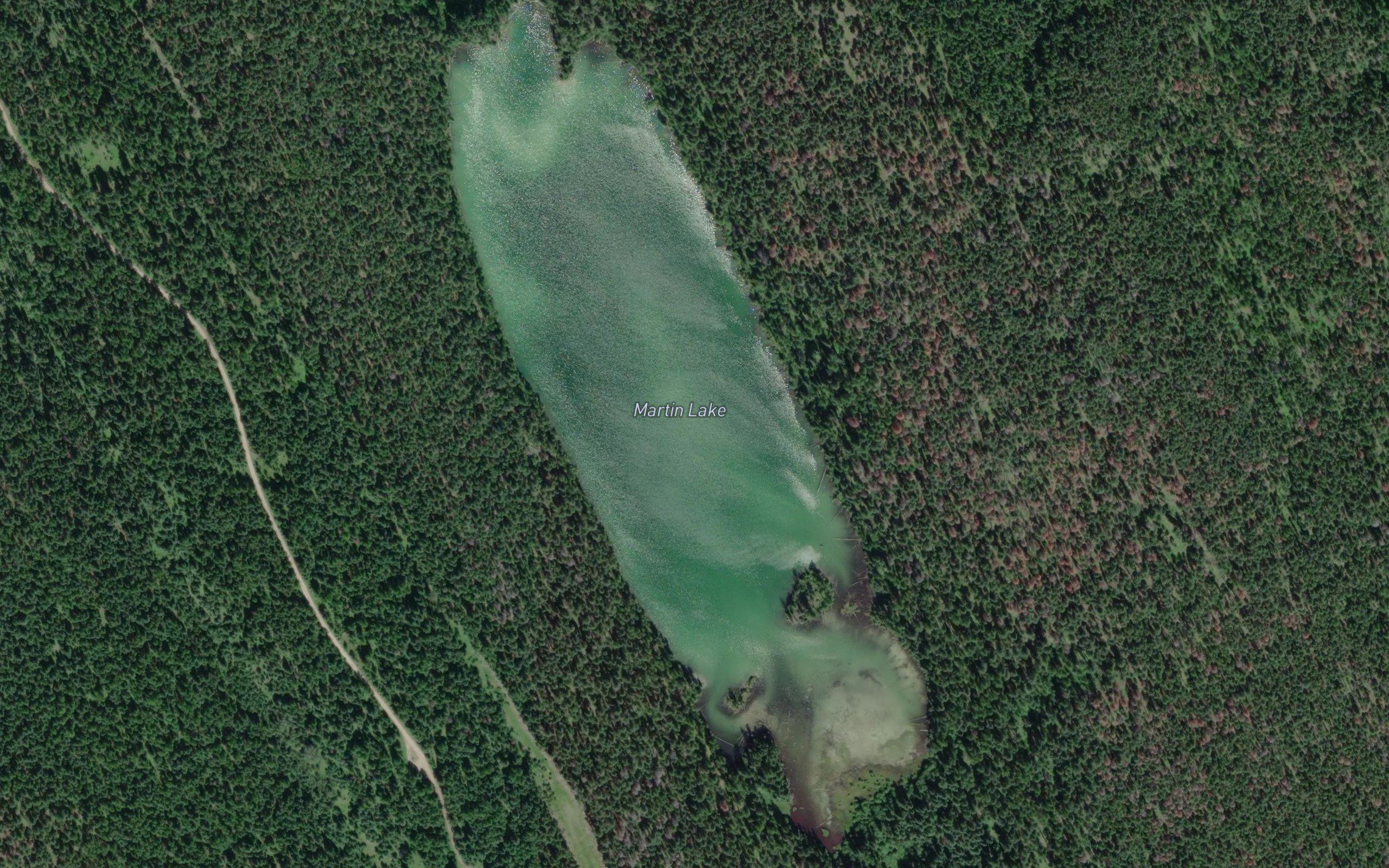 Martin Lake
