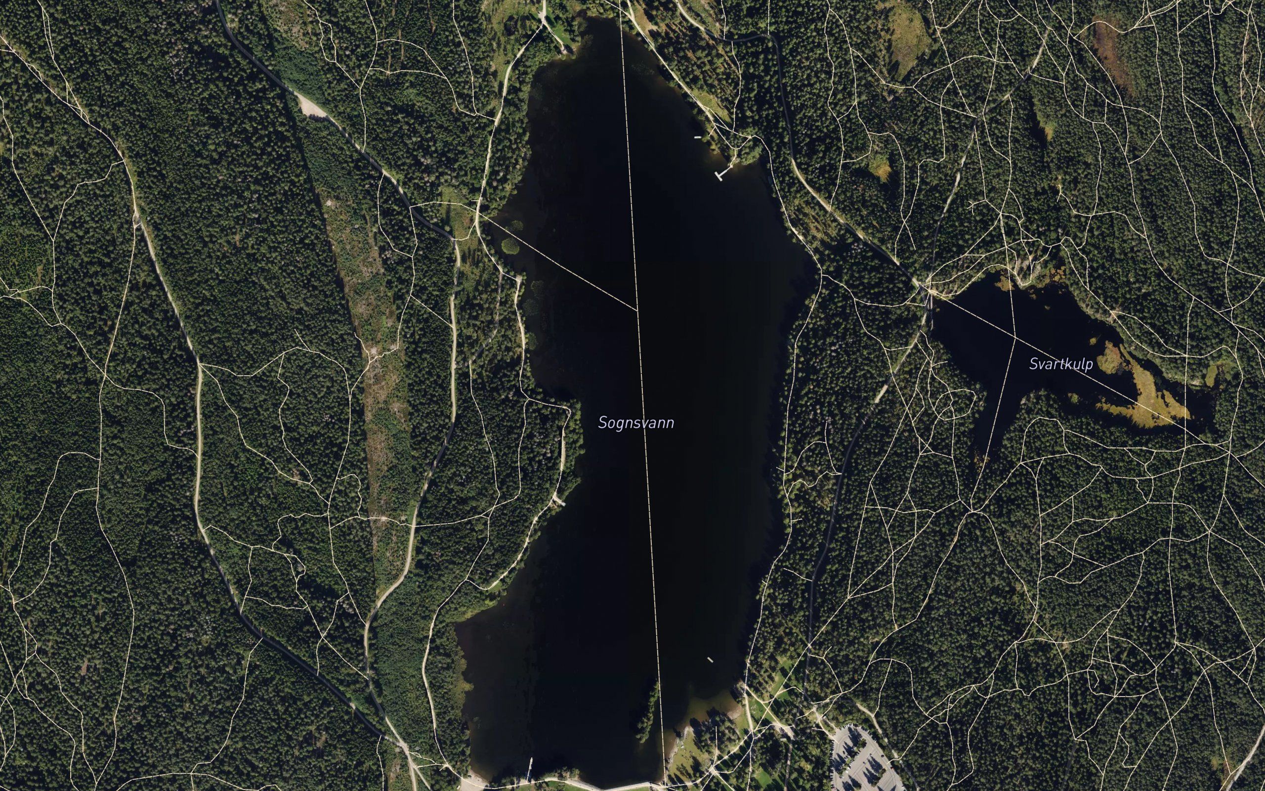 Sognsvann