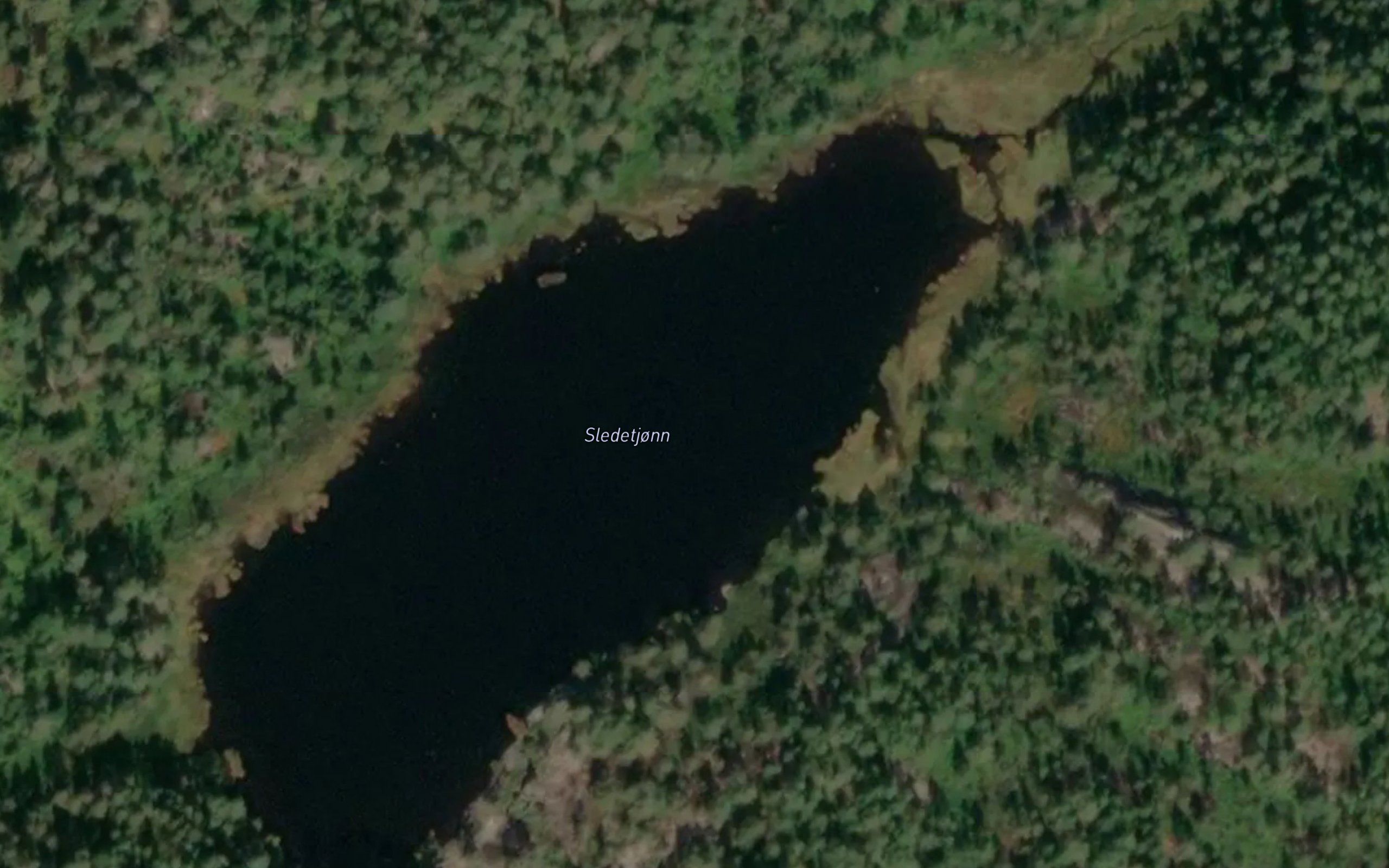 Sledetjorn